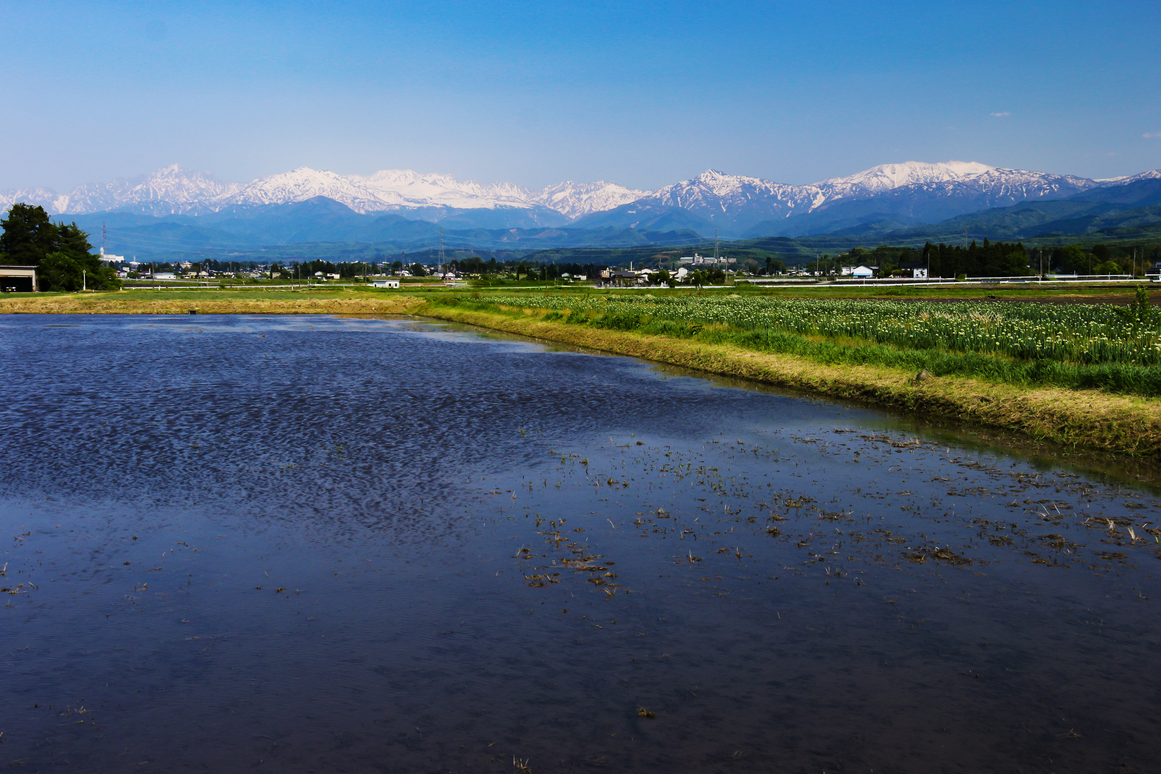 富山平野の春 立山連峰遠景