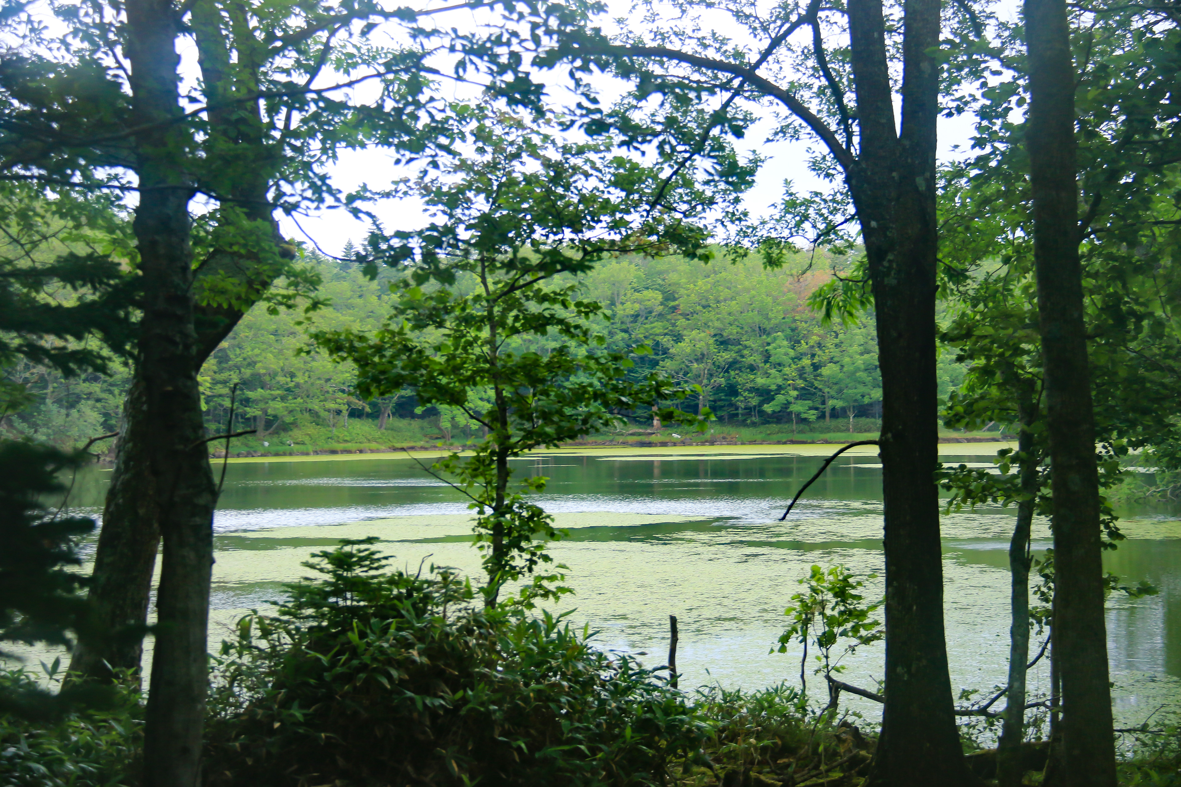 知床五湖
