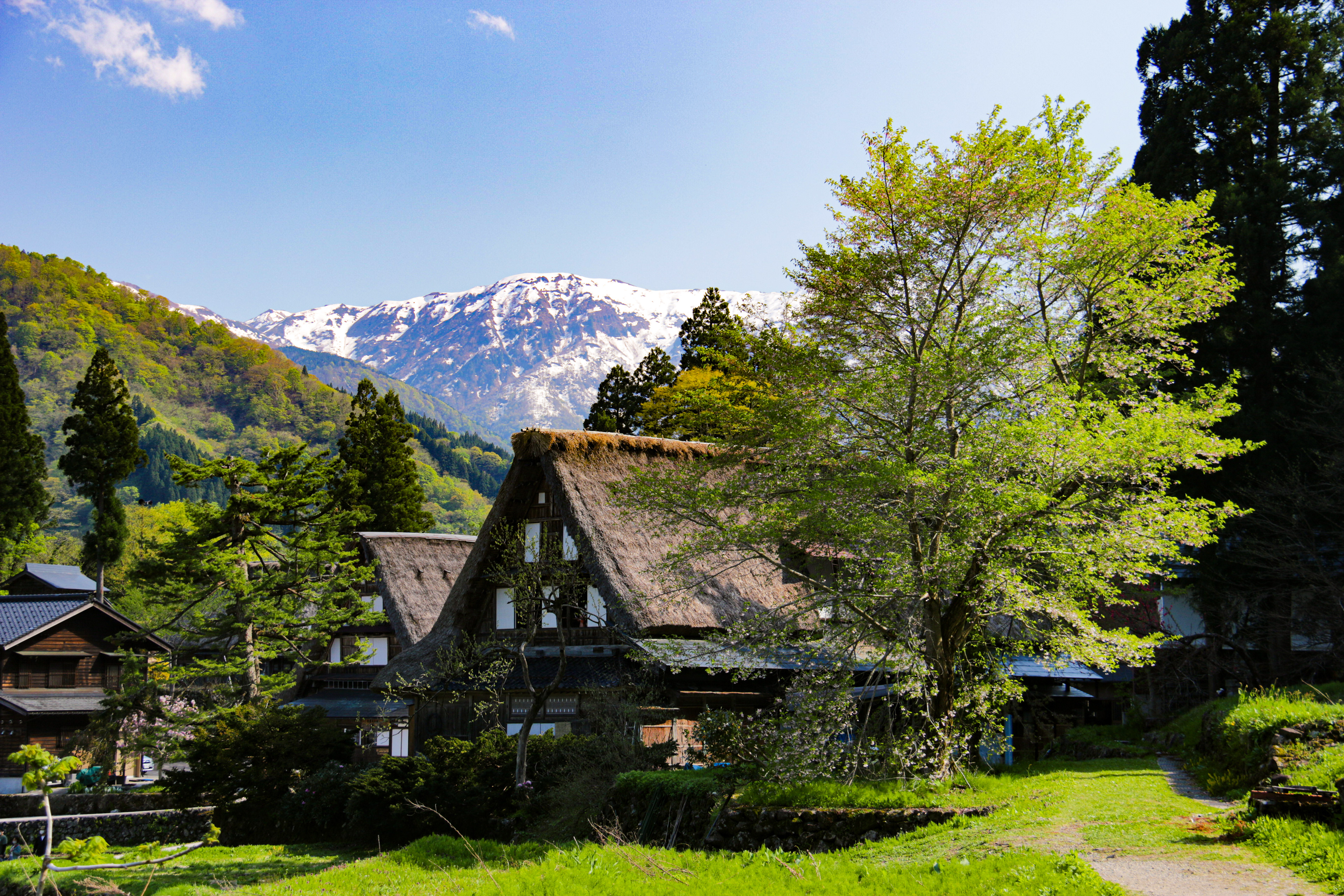 白川郷 五箇山の合掌造り集落
