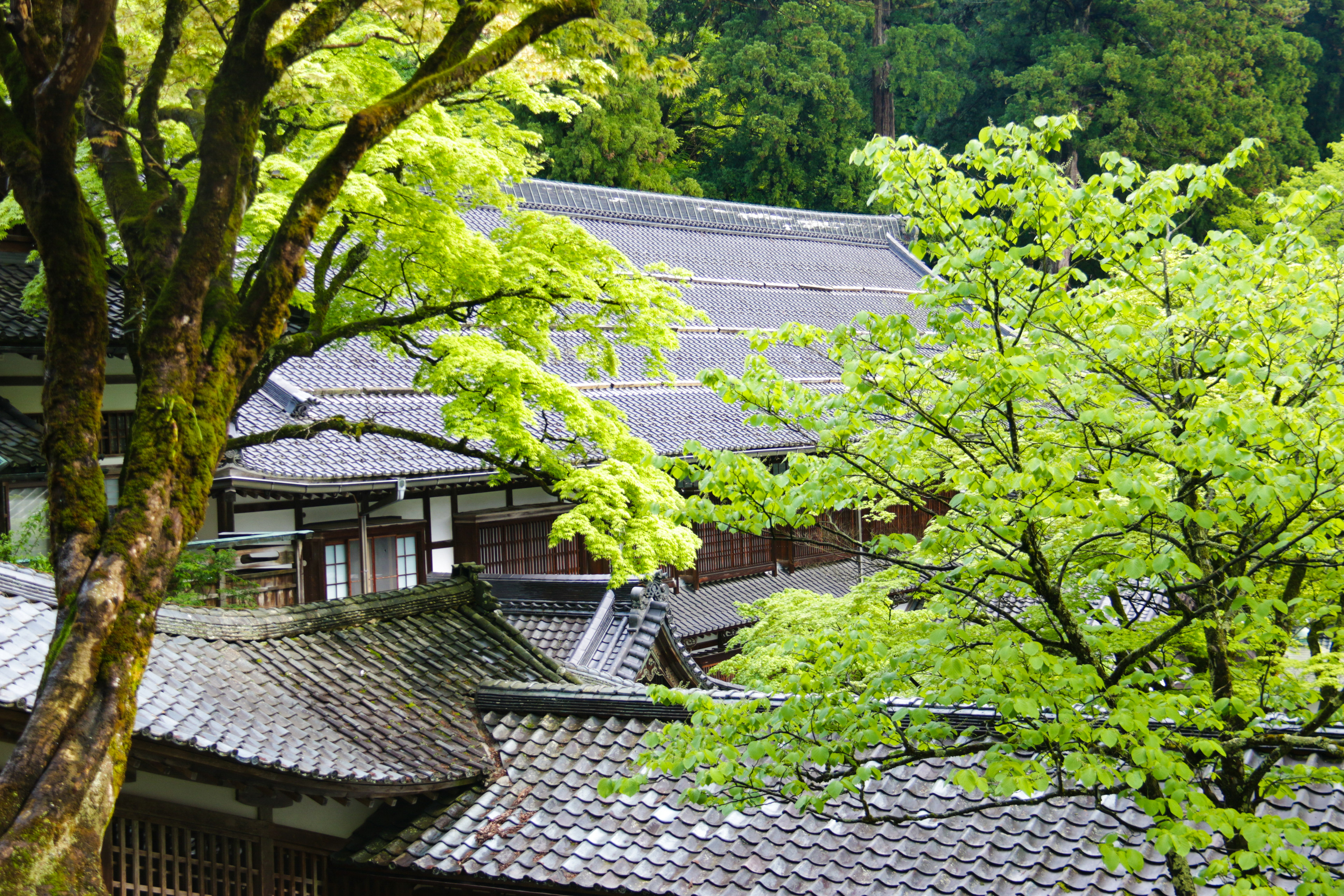 永平寺 大庫院