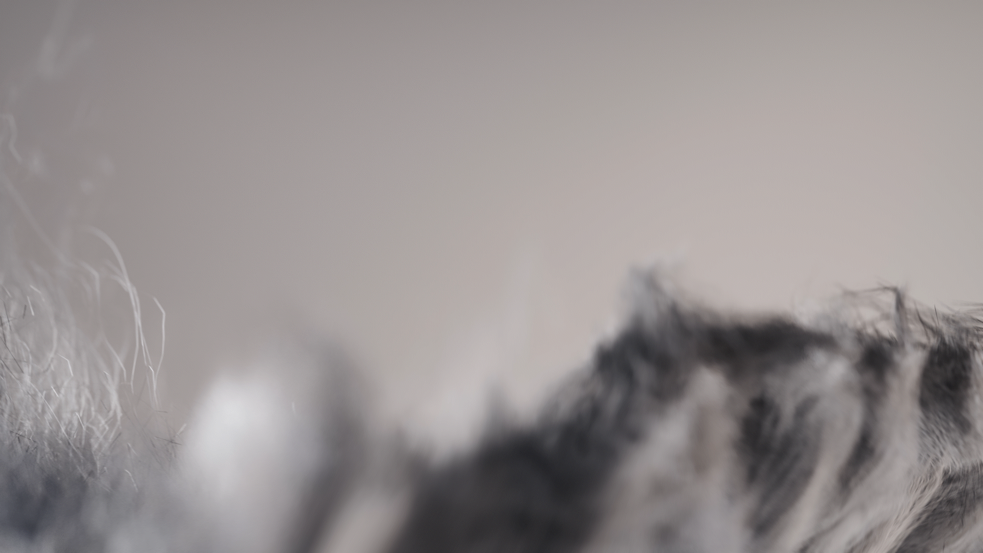 Animated sequence: A close-up of a textured surface with a blurred Therabody logo in the foreground.