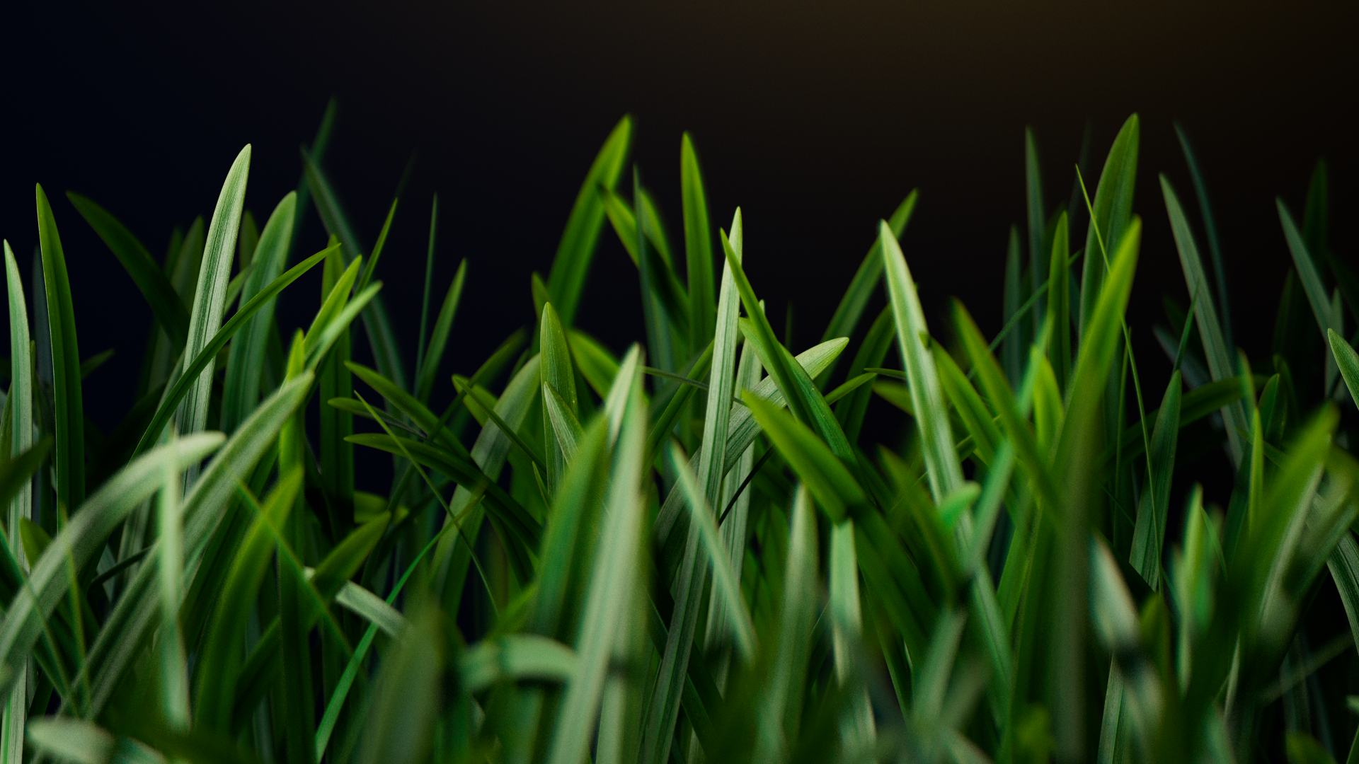 A close-up view of lush green grass blades against a dark background, showing the texture and vibrant color of the lawn mower's blades.