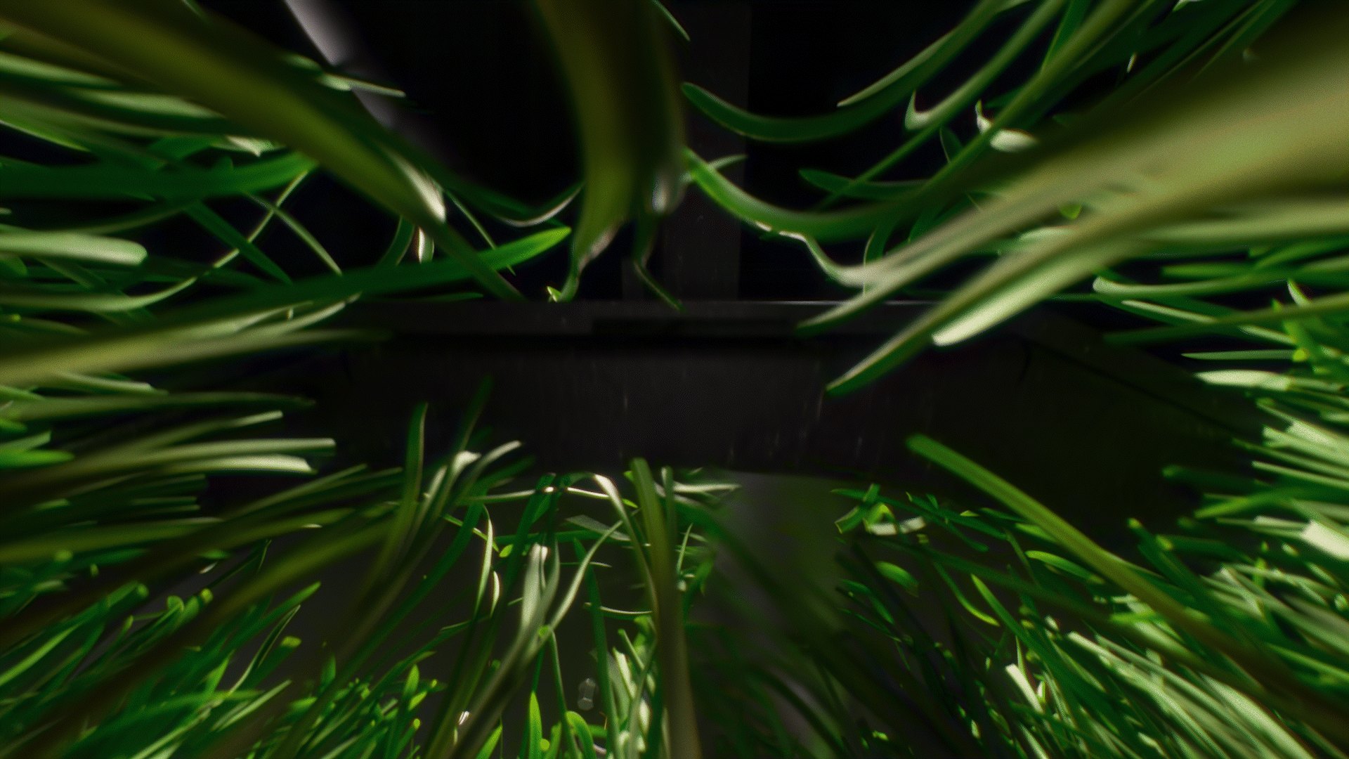 Animated sequence: A lawn mower's blade cuts through grass, sparks fly, and leaves scatter, showing the mower's power and efficiency.
