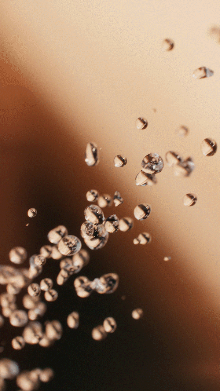 Animated sequence: A close-up of a sand dune with a small group of camels standing on top, illuminated by the warm glow of the setting sun.