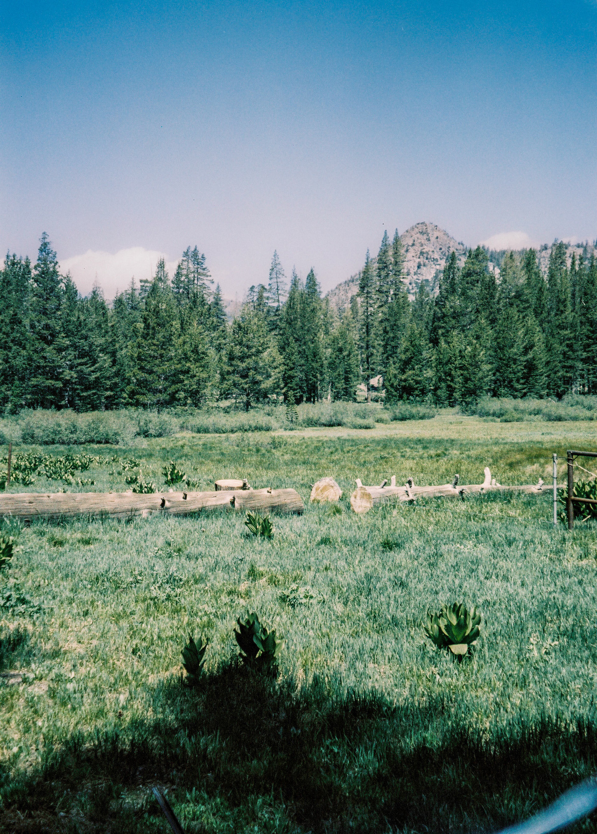 Mammoth Lakes, California
