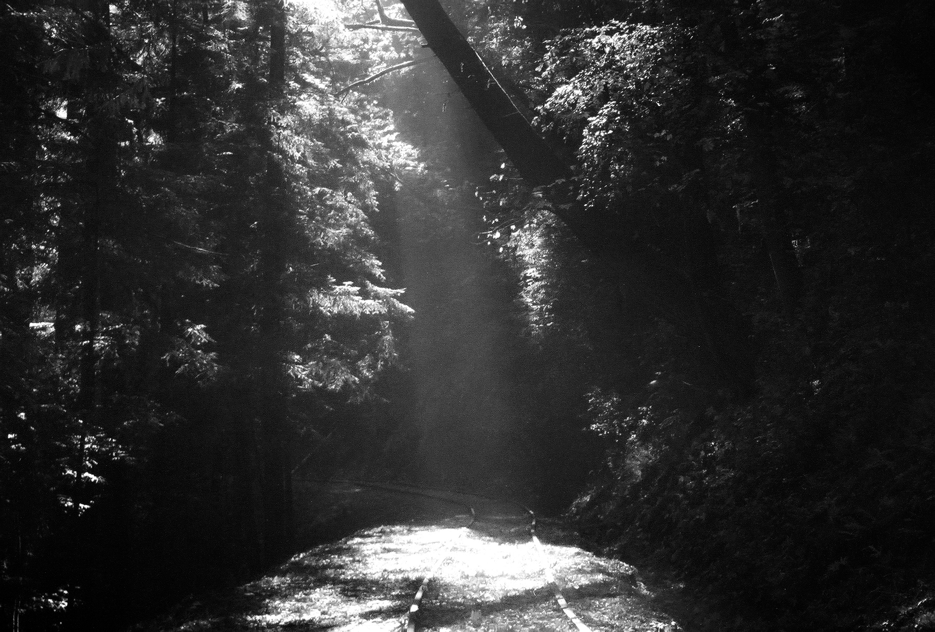 Garden of Eden, California