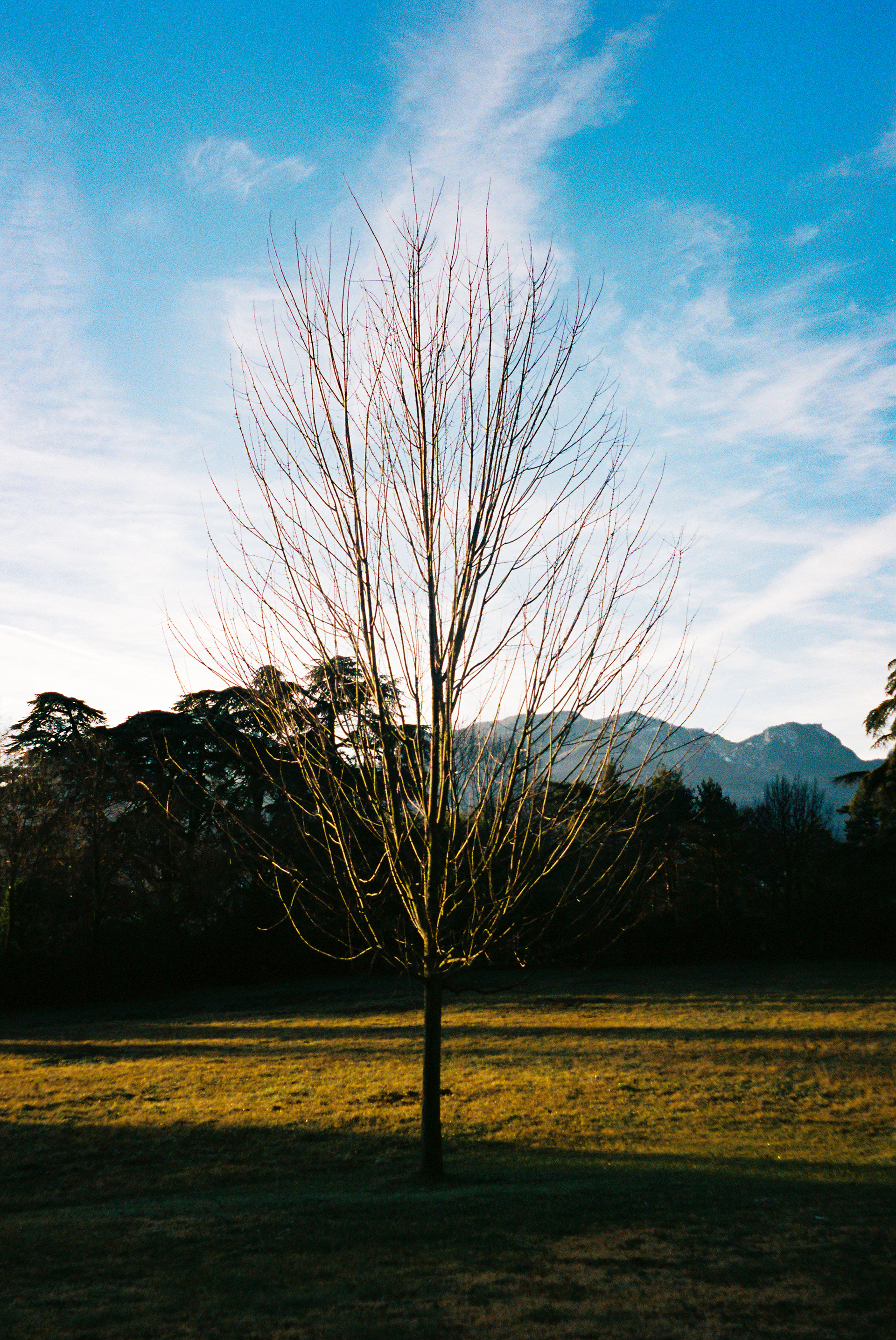 Savoie - Chambéry - ©Thomas Spault