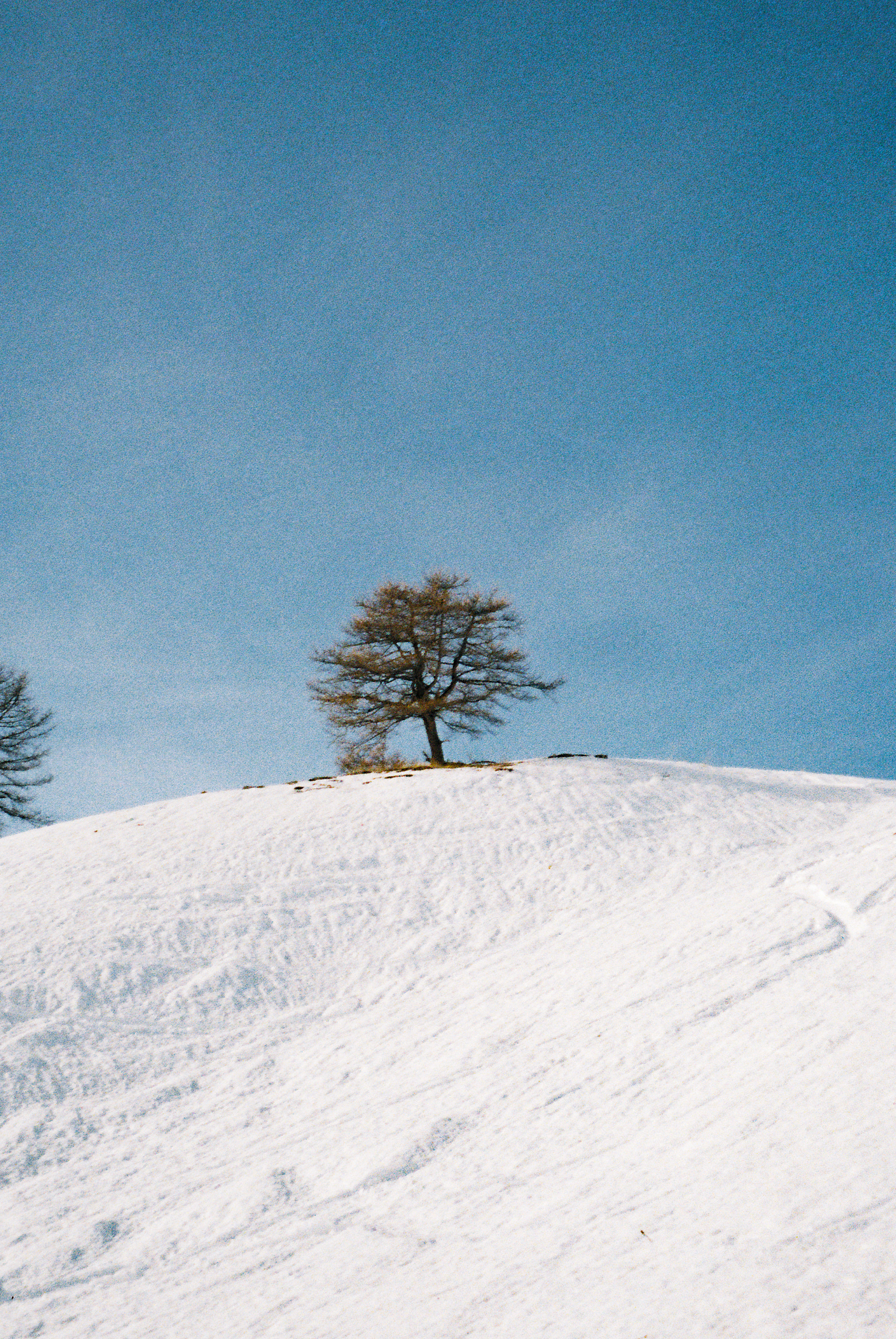 Massif des écrins ©Thomas Spault