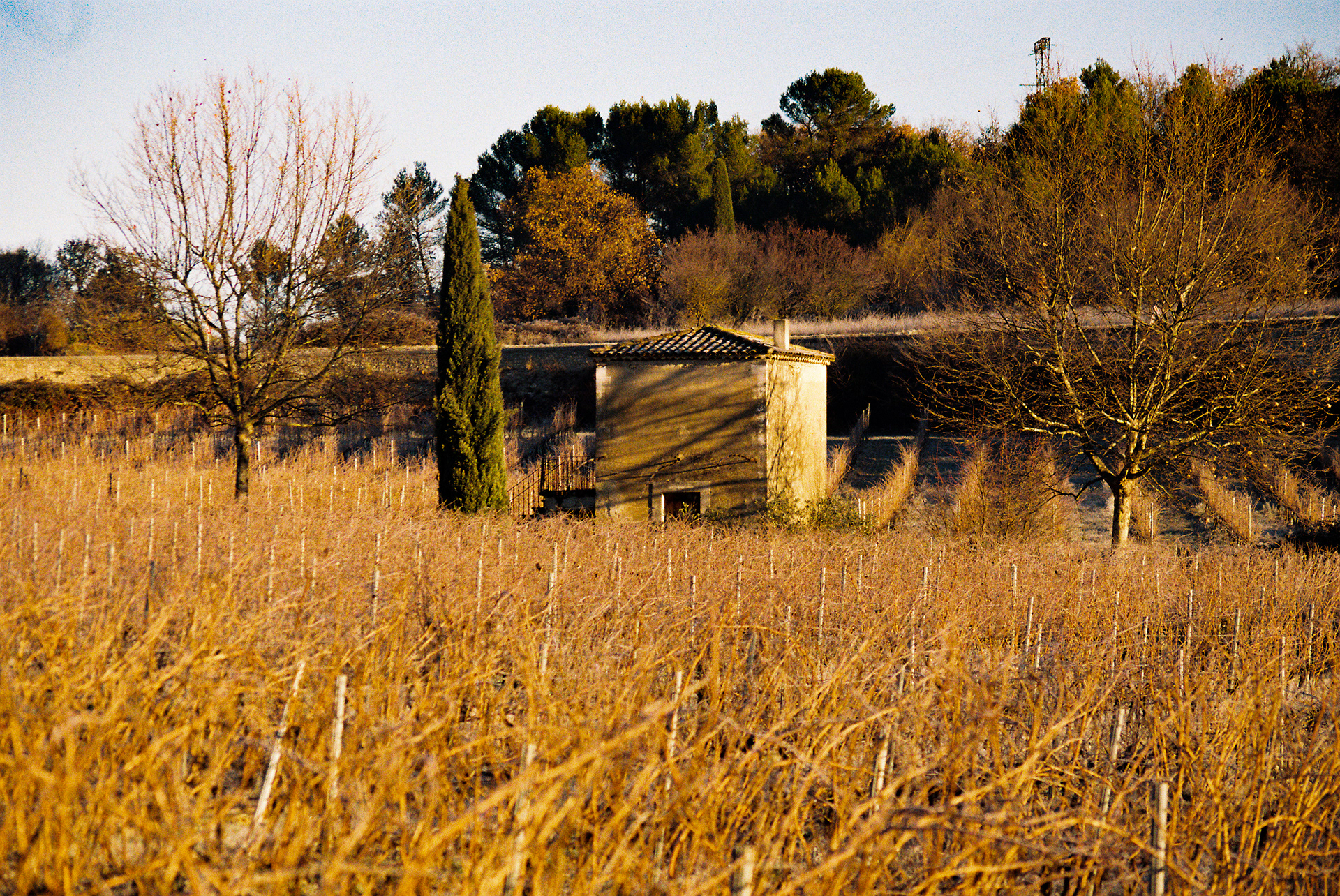 Goult - ©Thomas Spault