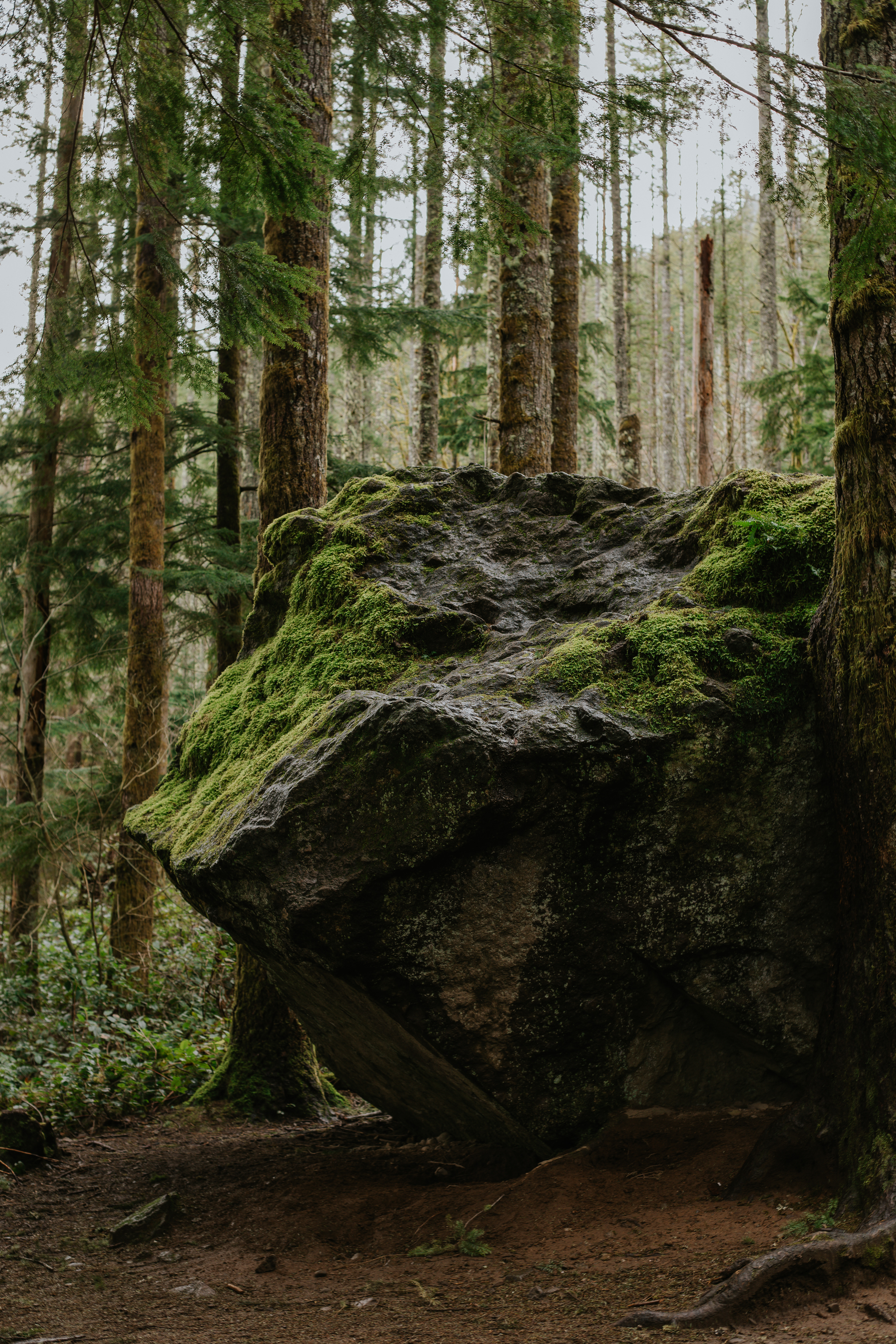 Rattlesnake Ledge Trail, Washington
