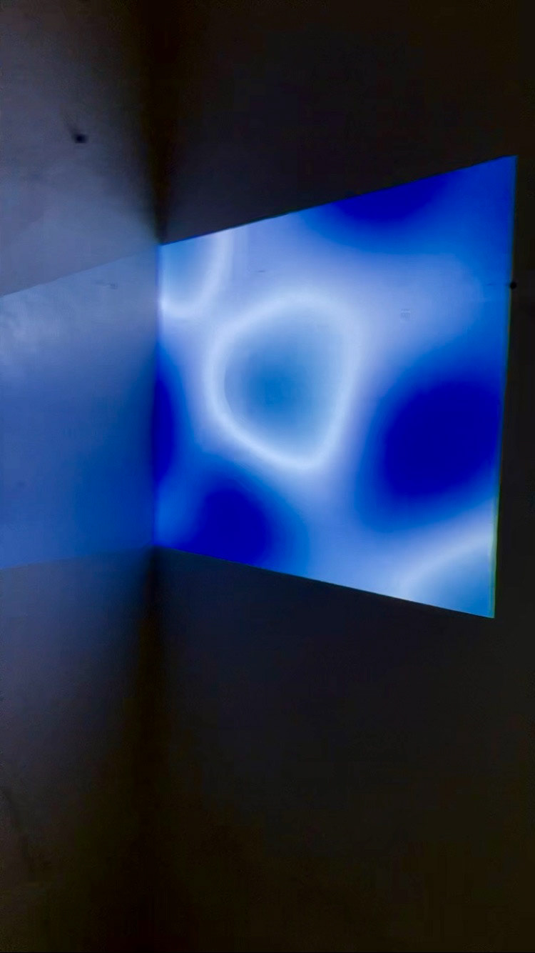 La Piscine projection