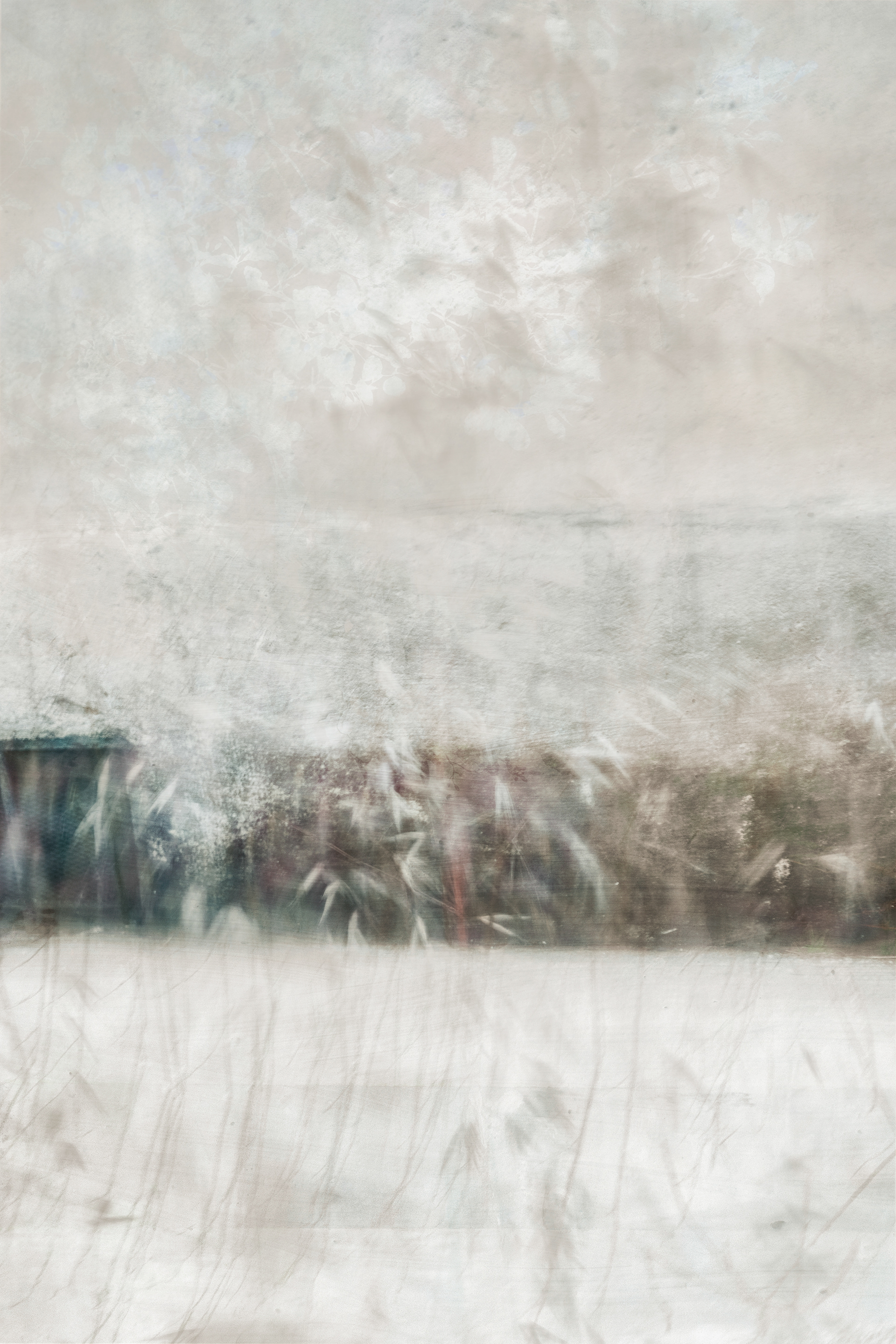 A l'OMBRE DU POMMIER