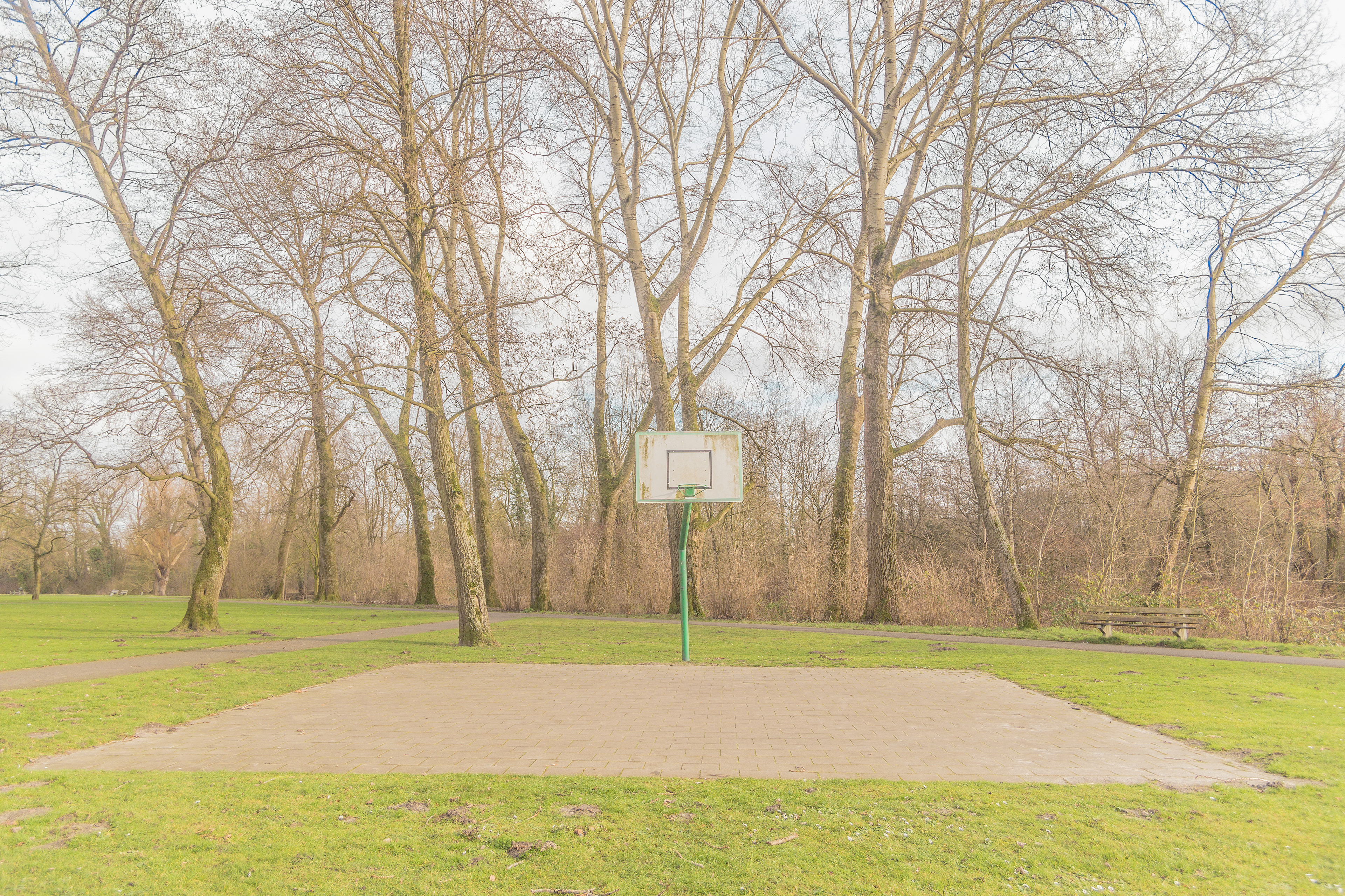 Federico Rosa Photographer