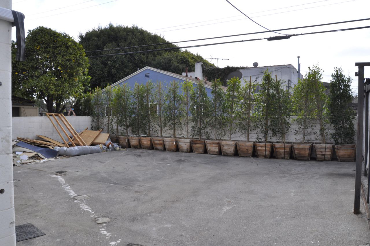 Pre-Construction Patio Area