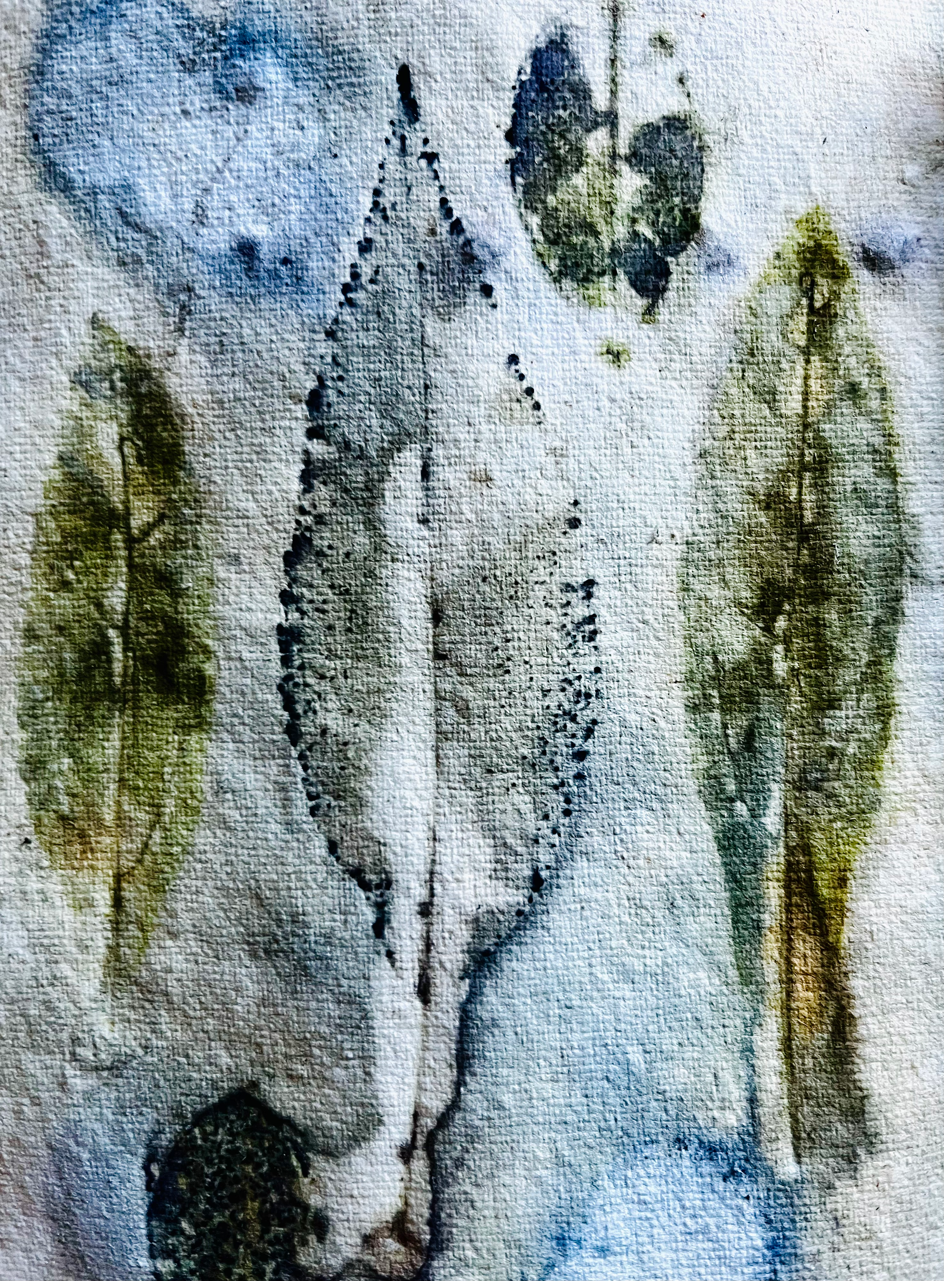 Autumn leaves