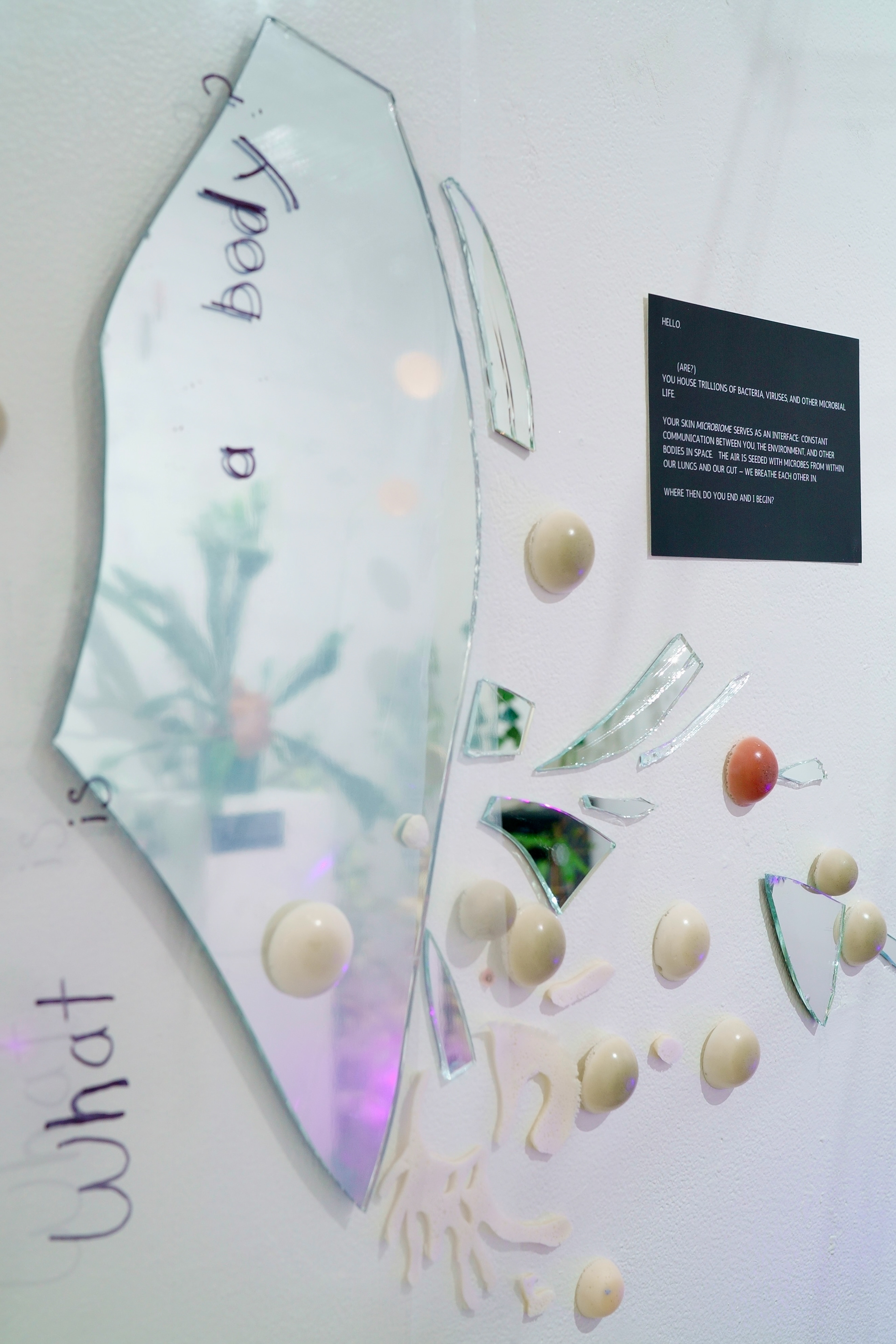 Microbe Hello | recycled plastic and mirror, biofoam, spirulina and beet powder pigment, text