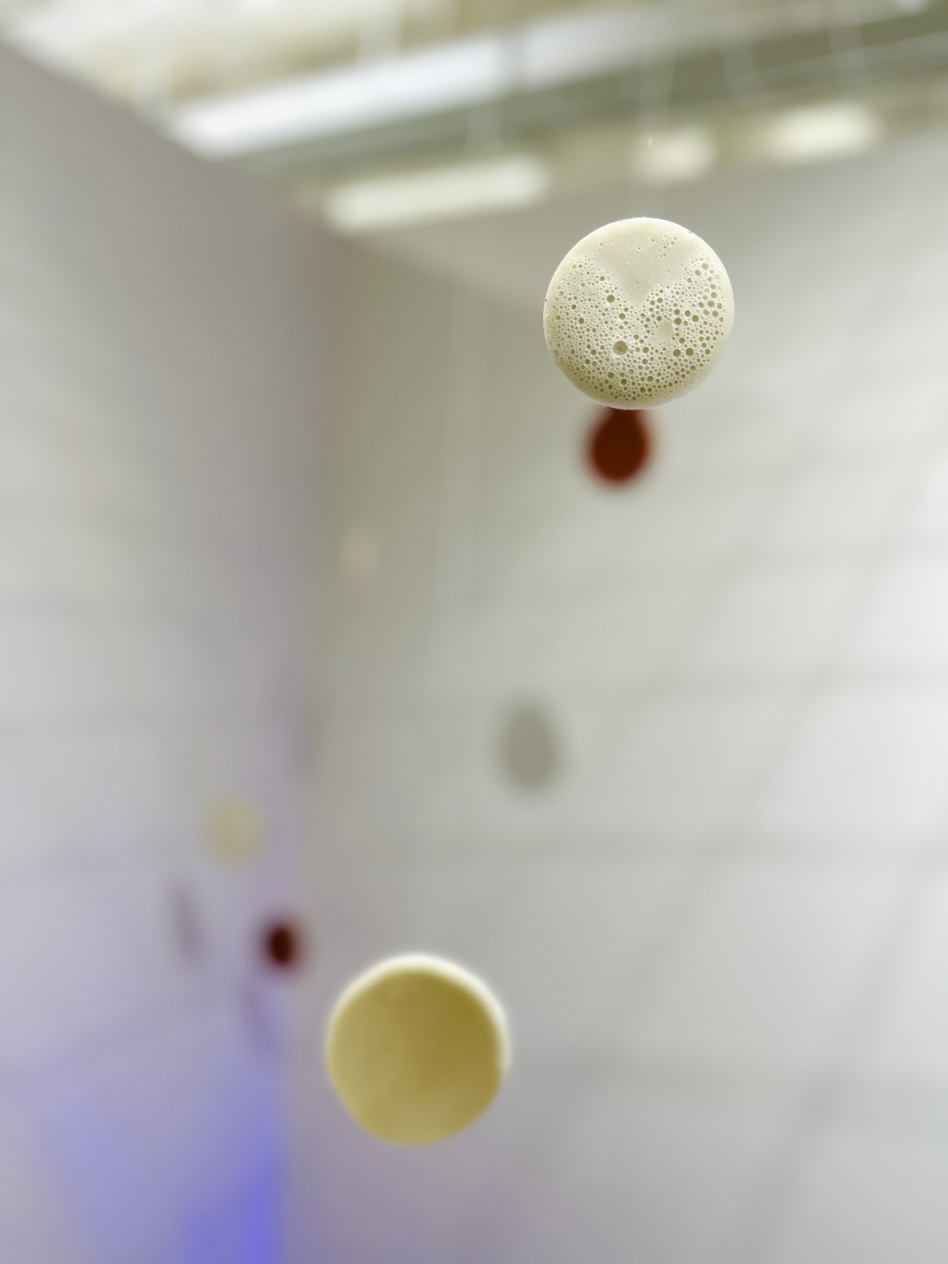 Drifting microbes | biofoam, spirulina and beet powder pigment, string