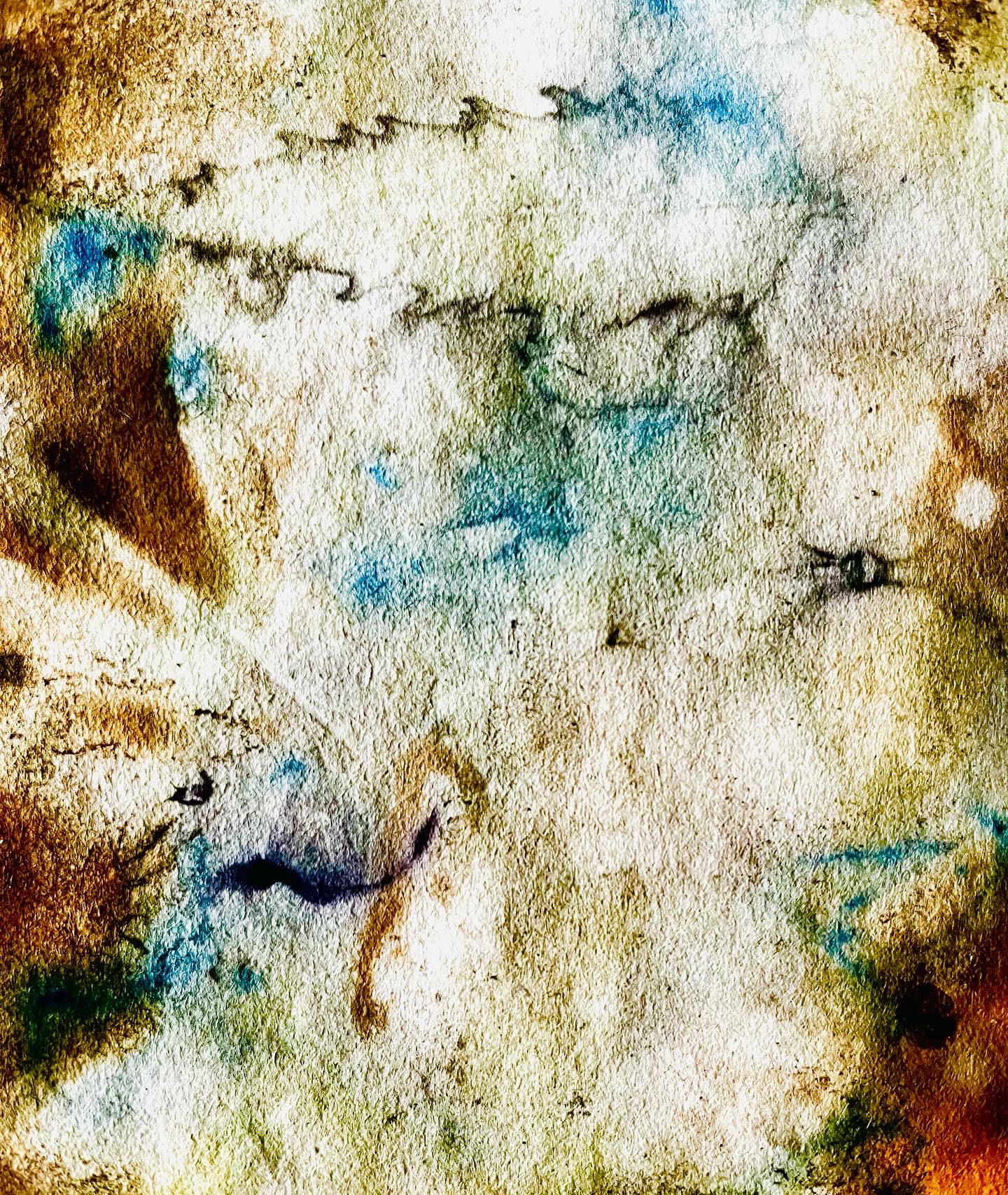 Birch, iris, early summer leaves