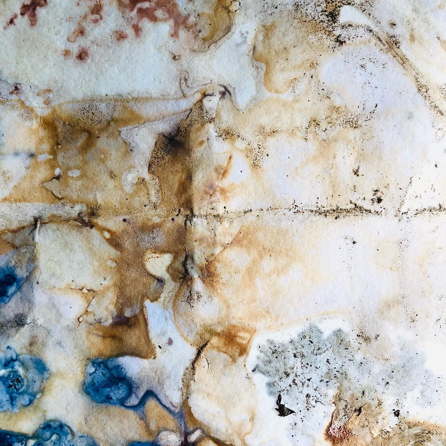 Maples, begonia petals, iron mordant