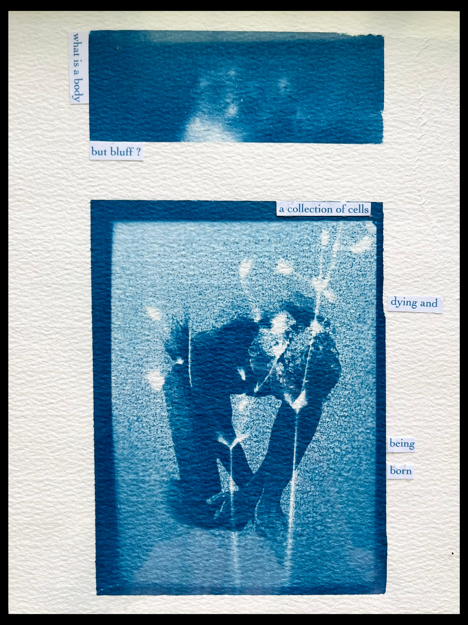 What is a body? : cyanotype, 2023