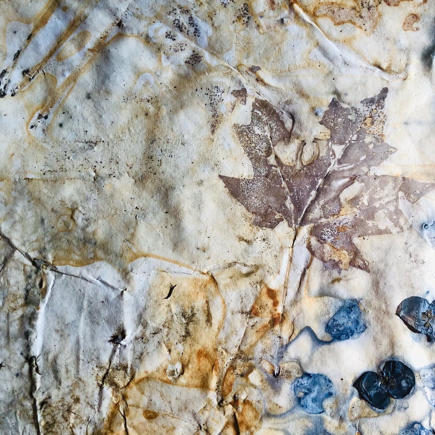 Red Maple, begonia petals, iron mordant