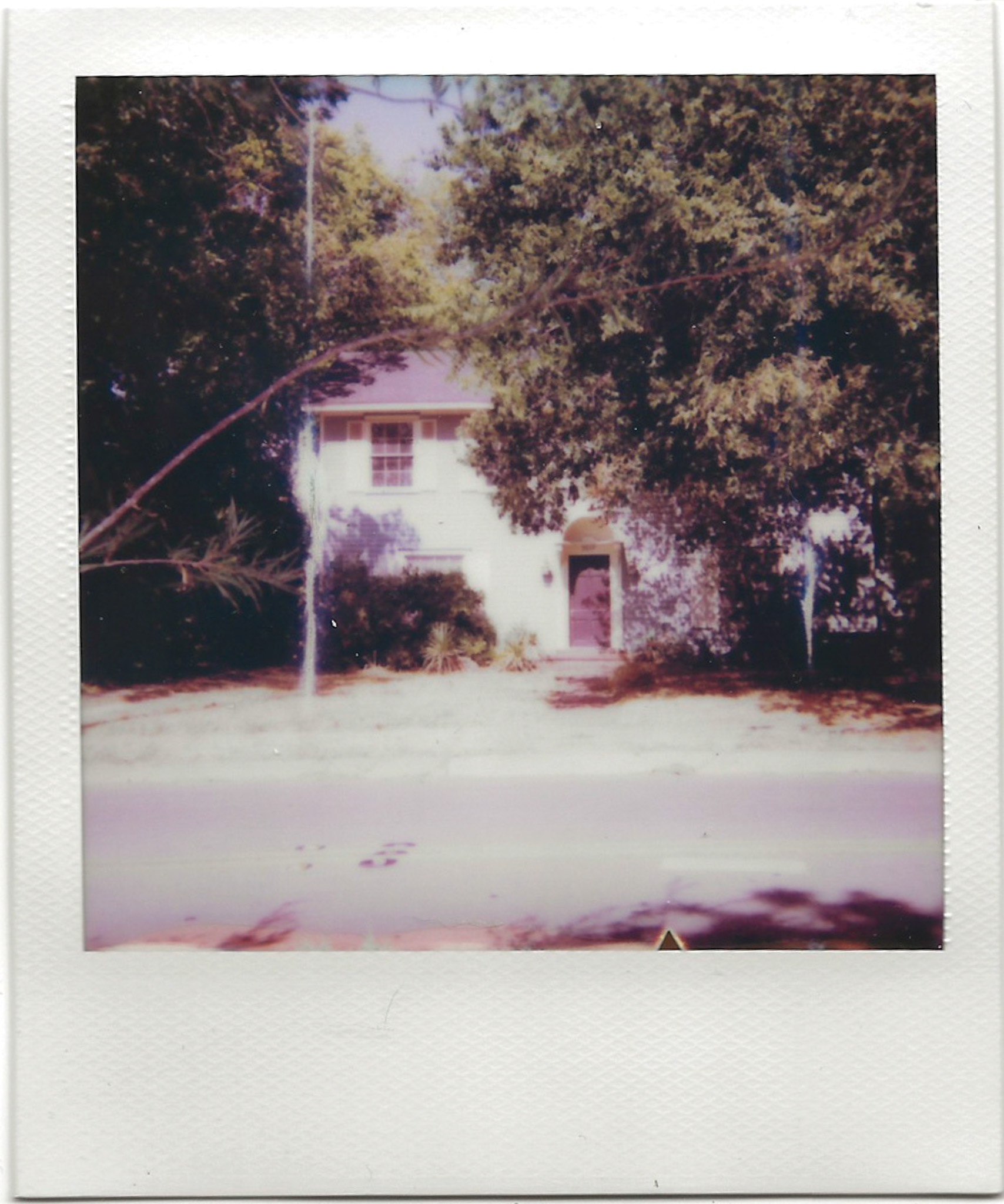 Home on Polaroid 600 film