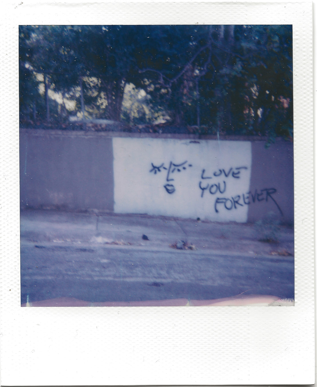 my neighborhood on Polaroid 600 film