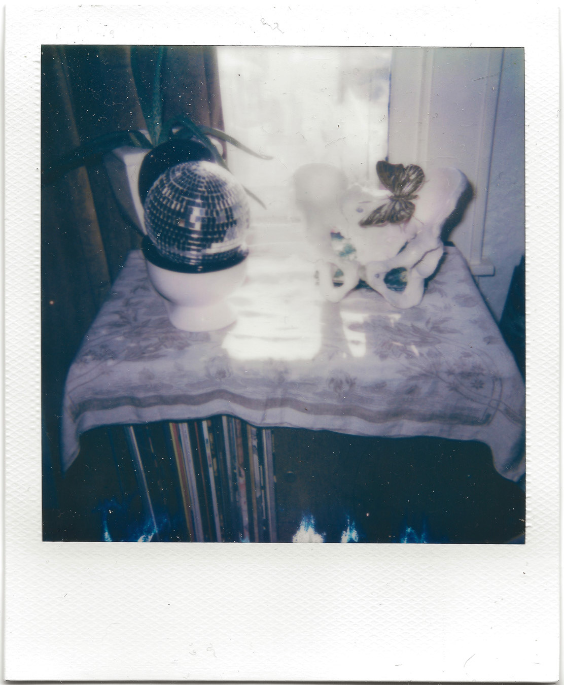 still life on Polaroid 600 film