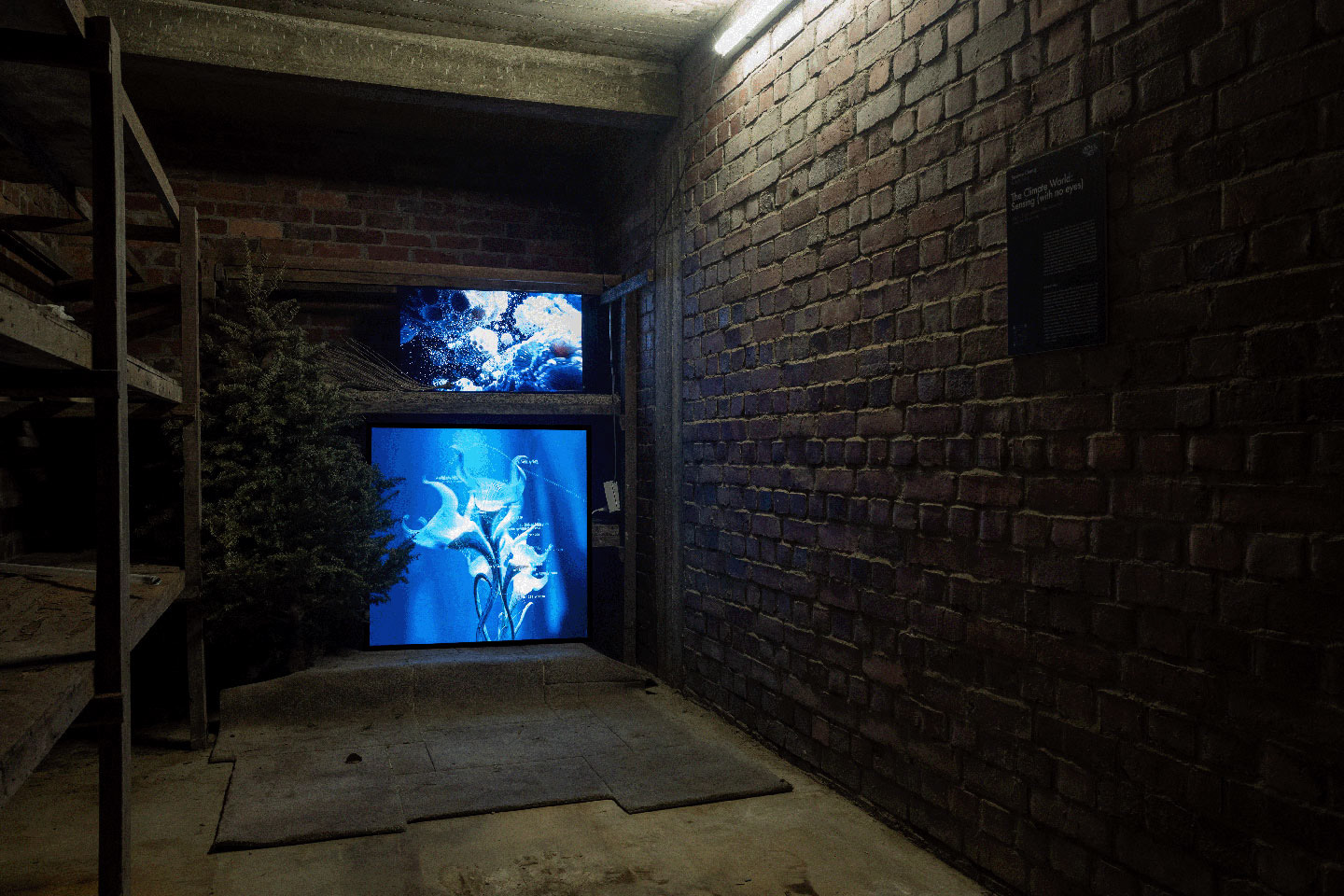 ©2026 Digital Art Week Asia, works by Seahee Chang