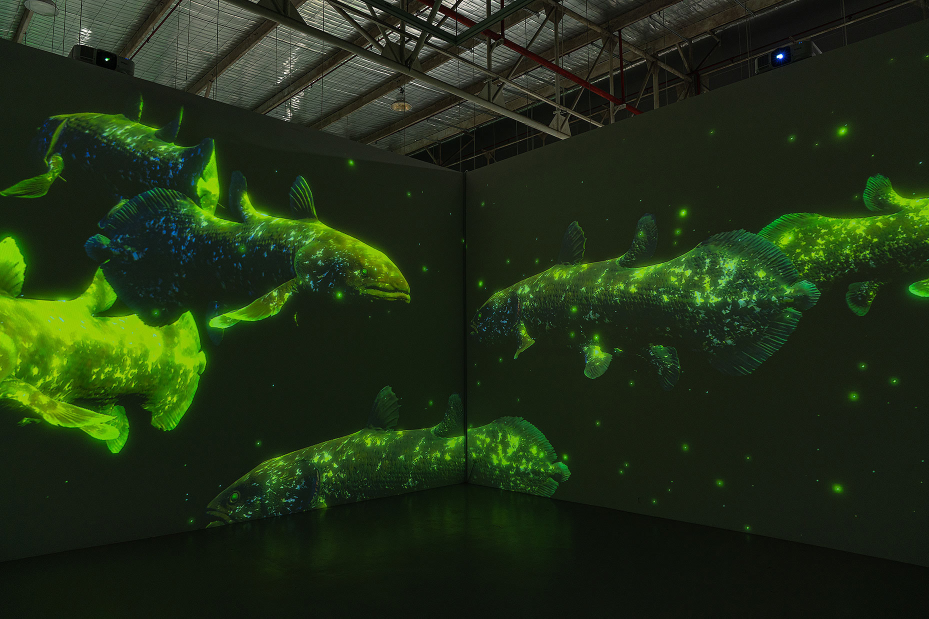 “Ancient Aquarium” by Masato Inagaki © DAISY INC