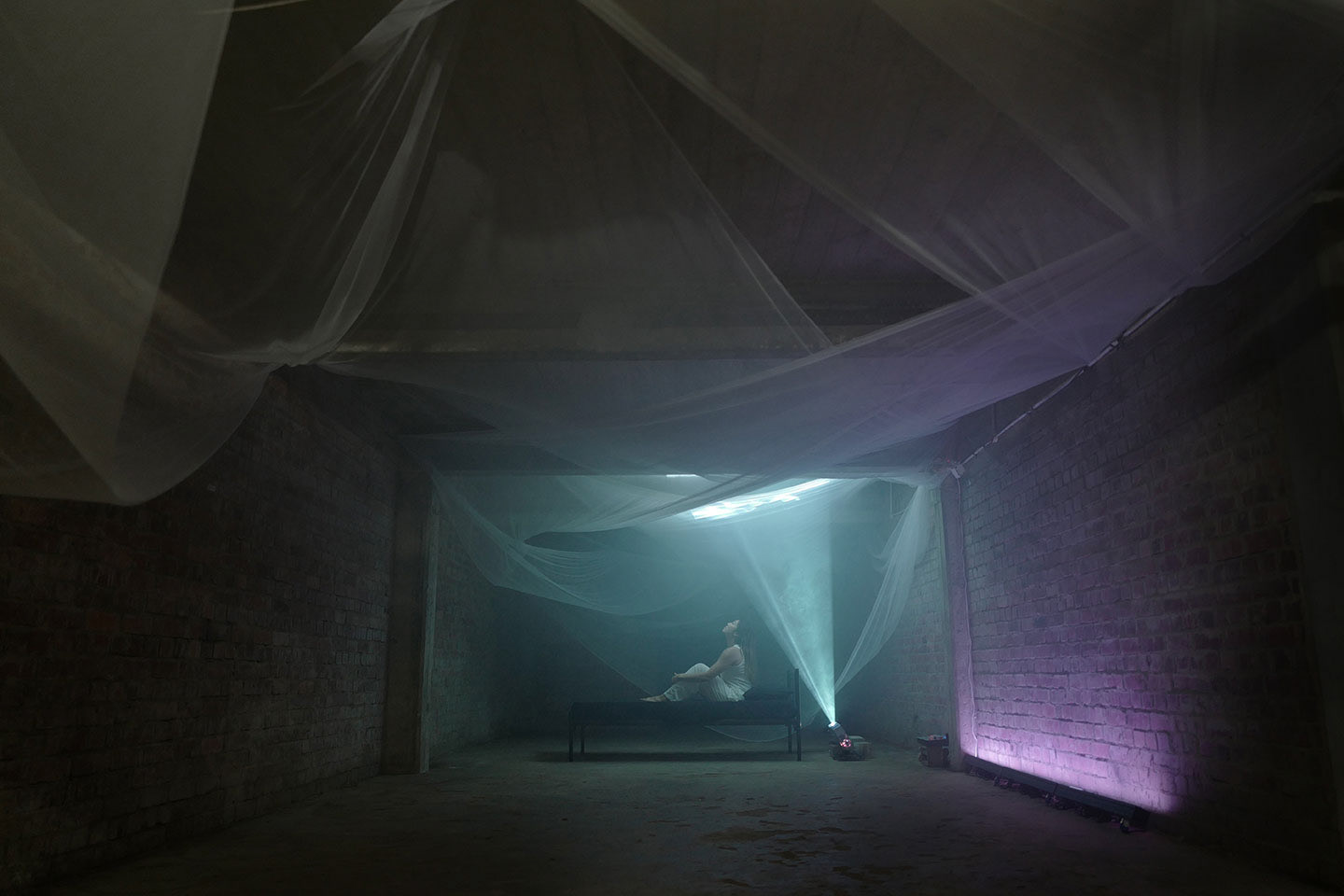 ©2026 Digital Art Week Asia, works by Samantha Lee