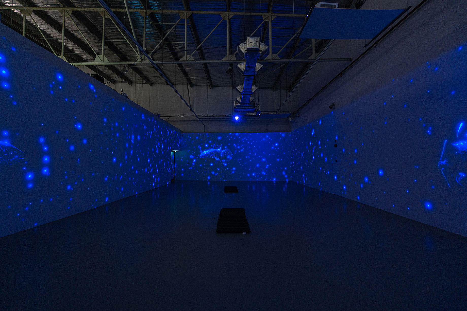 “Ancient Aquarium” by Masato Inagaki © DAISY INC