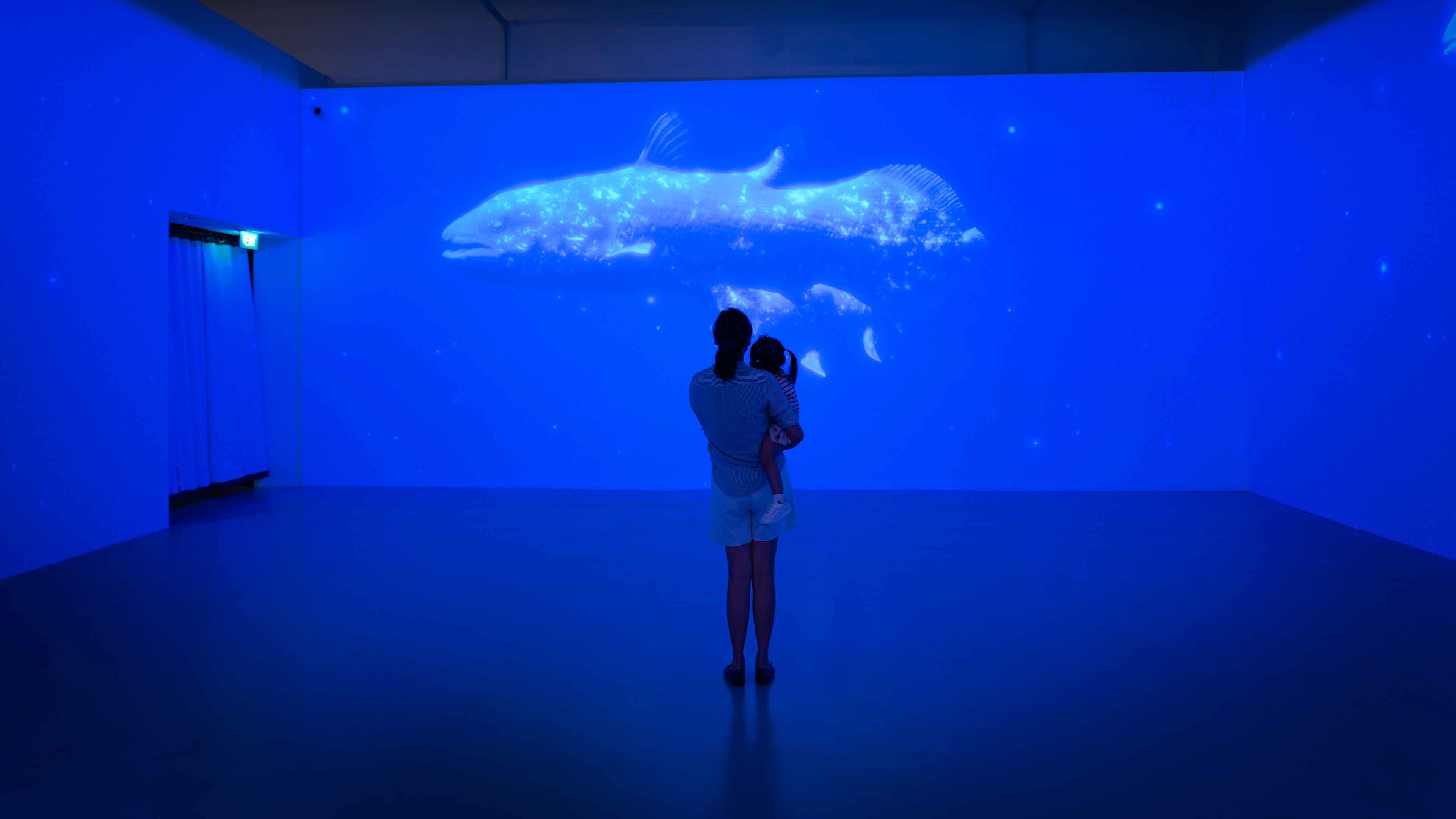 Ancient Aquarium featuring works by Masato Inagaki and Go Ogawa