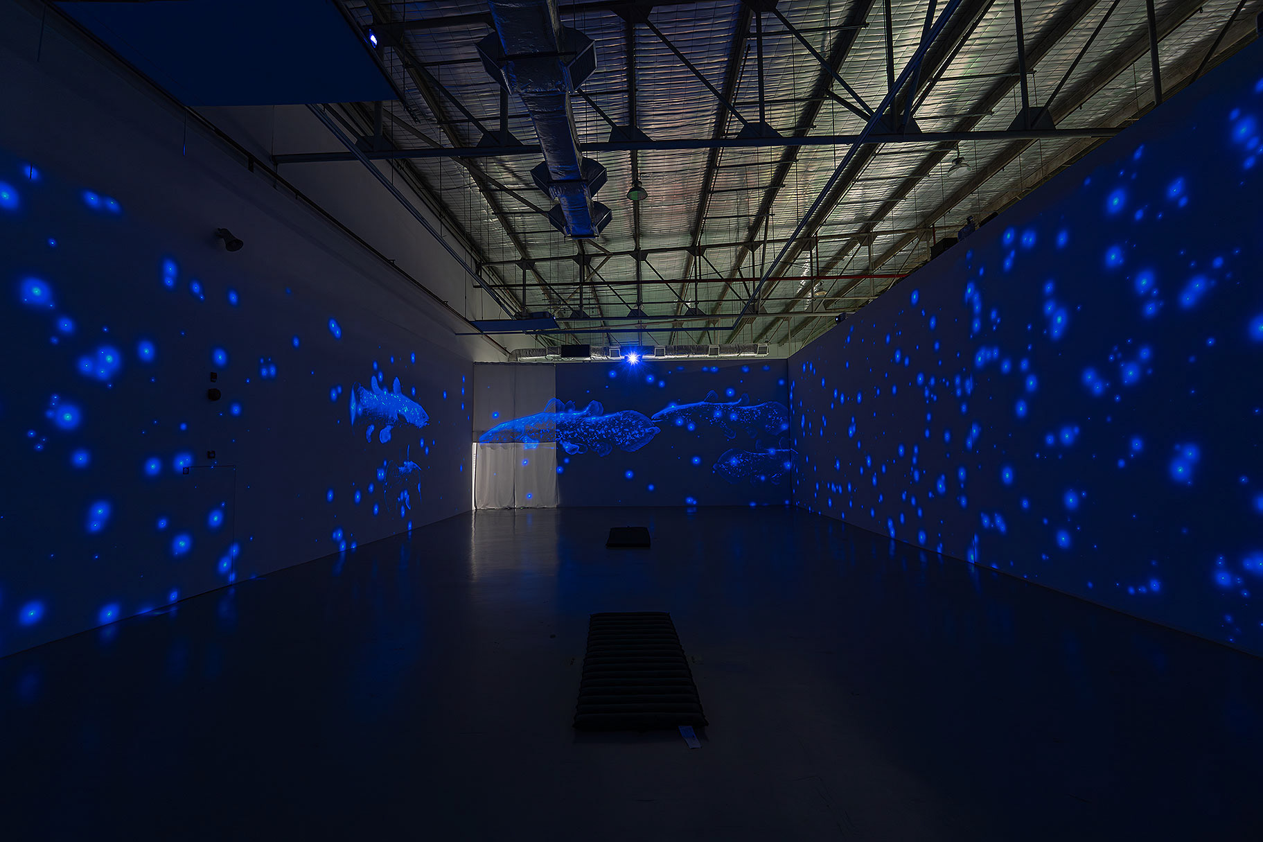 “Ancient Aquarium” by Masato Inagaki © DAISY INC