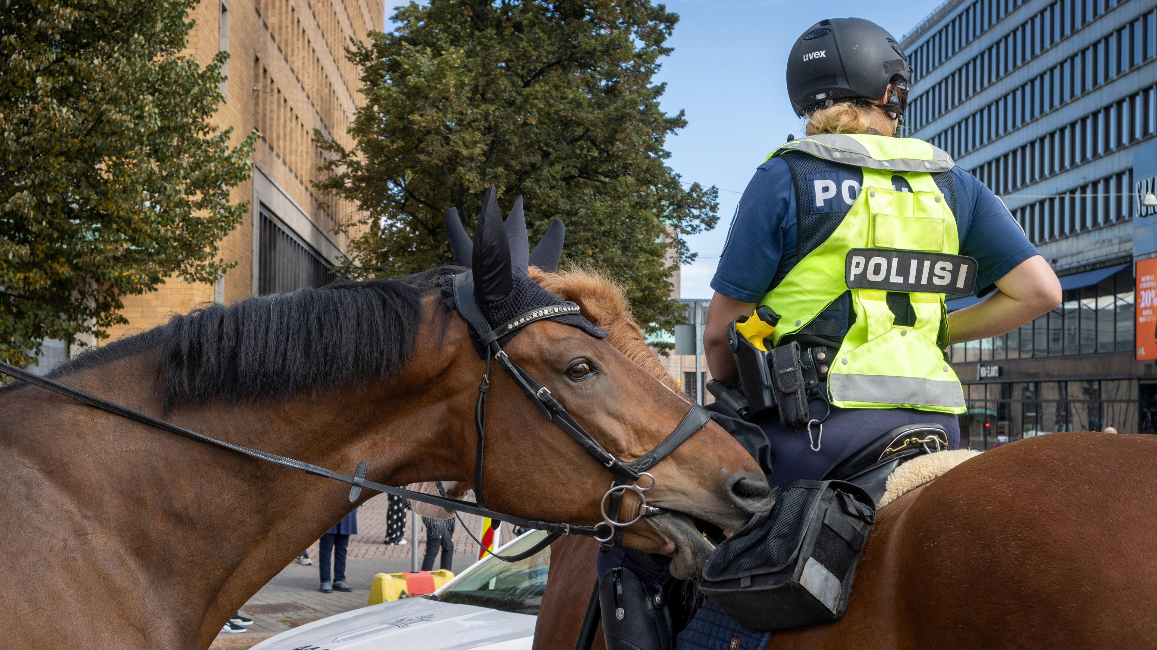 Poliisi istuu ratsupoliisin varusteissa ruskean hevosen selässä, selkä kameraan päin. Vieressä toinen ruskea hevonen hamuaa herkkuja poliisin satulalaukusta. Taustalla näkyy puita, rakennuksia ja sininen taivas.