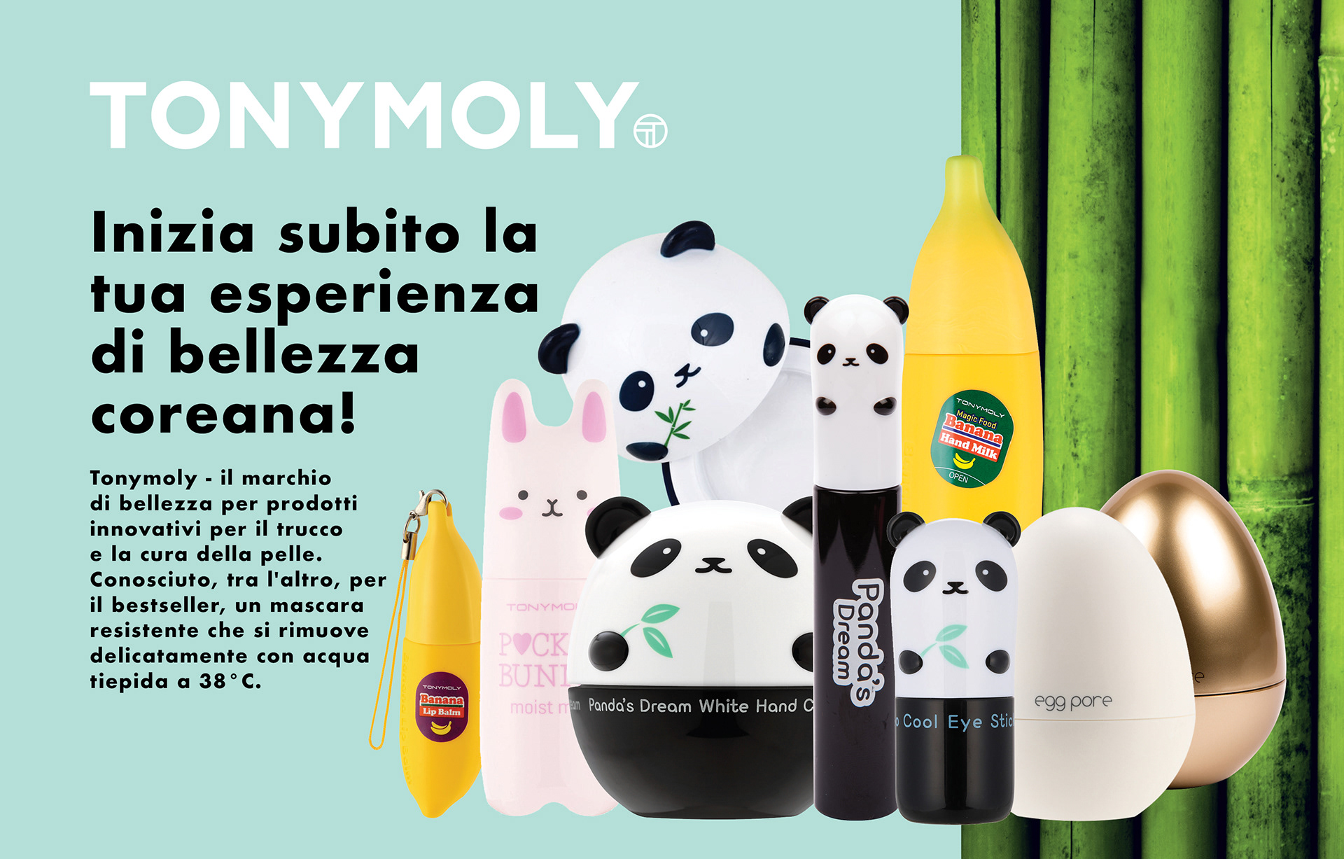 TONY MOLY visual A5