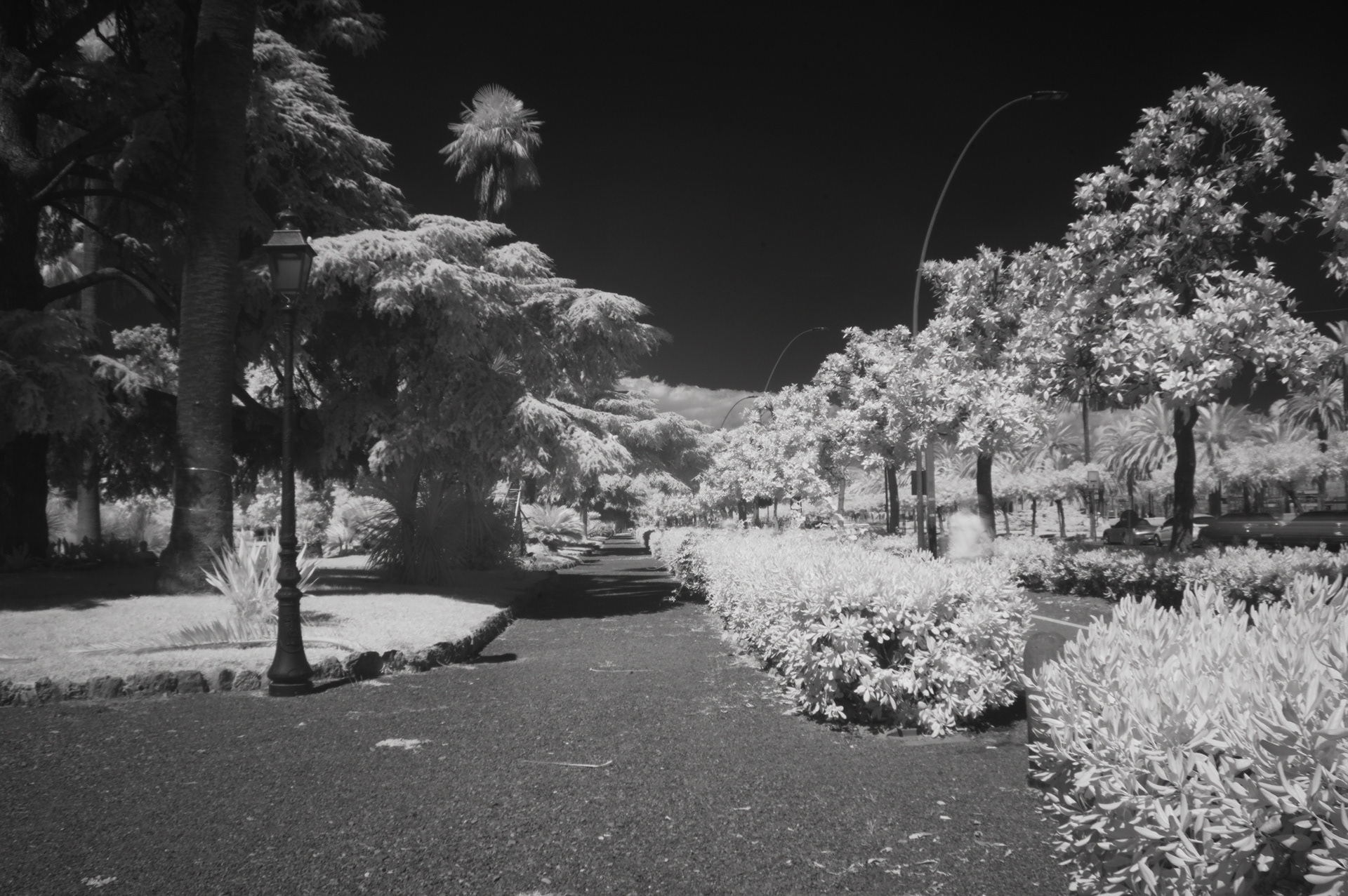 18mm • ƒ/11 • 0.8s • ISO 200