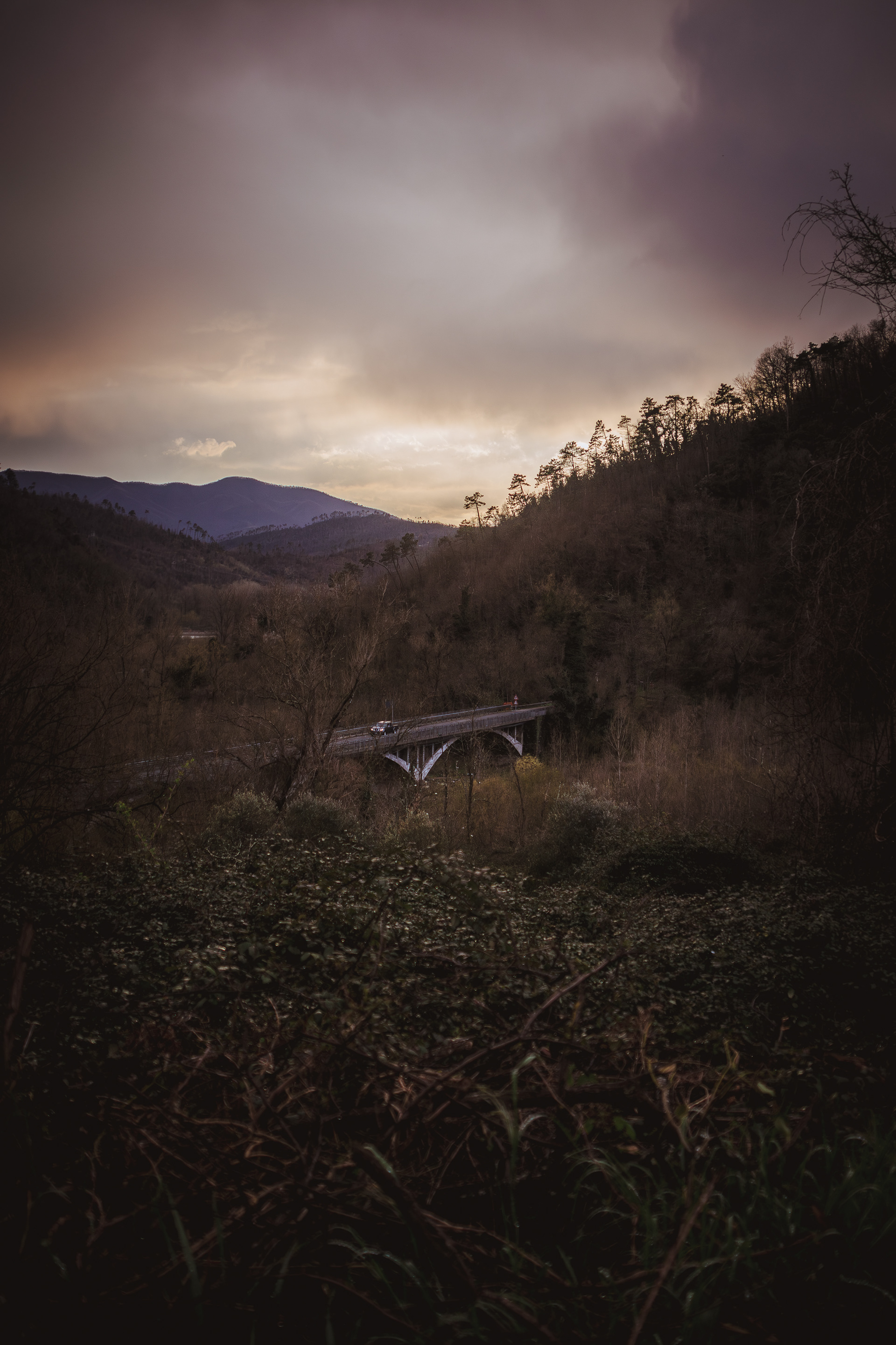 ƒ/3.5 28mm 1/800sec. ISO100