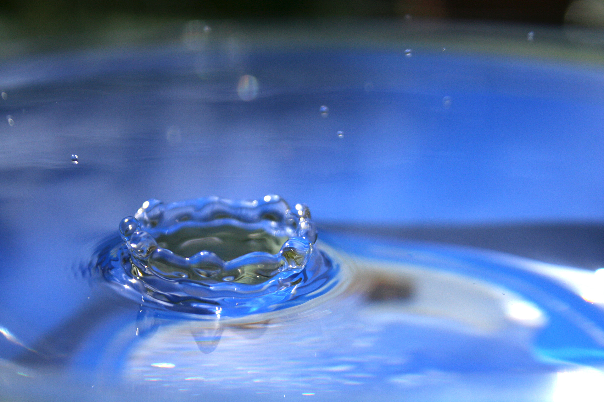 ƒ/5.6 47mm 1/4000sec. ISO400