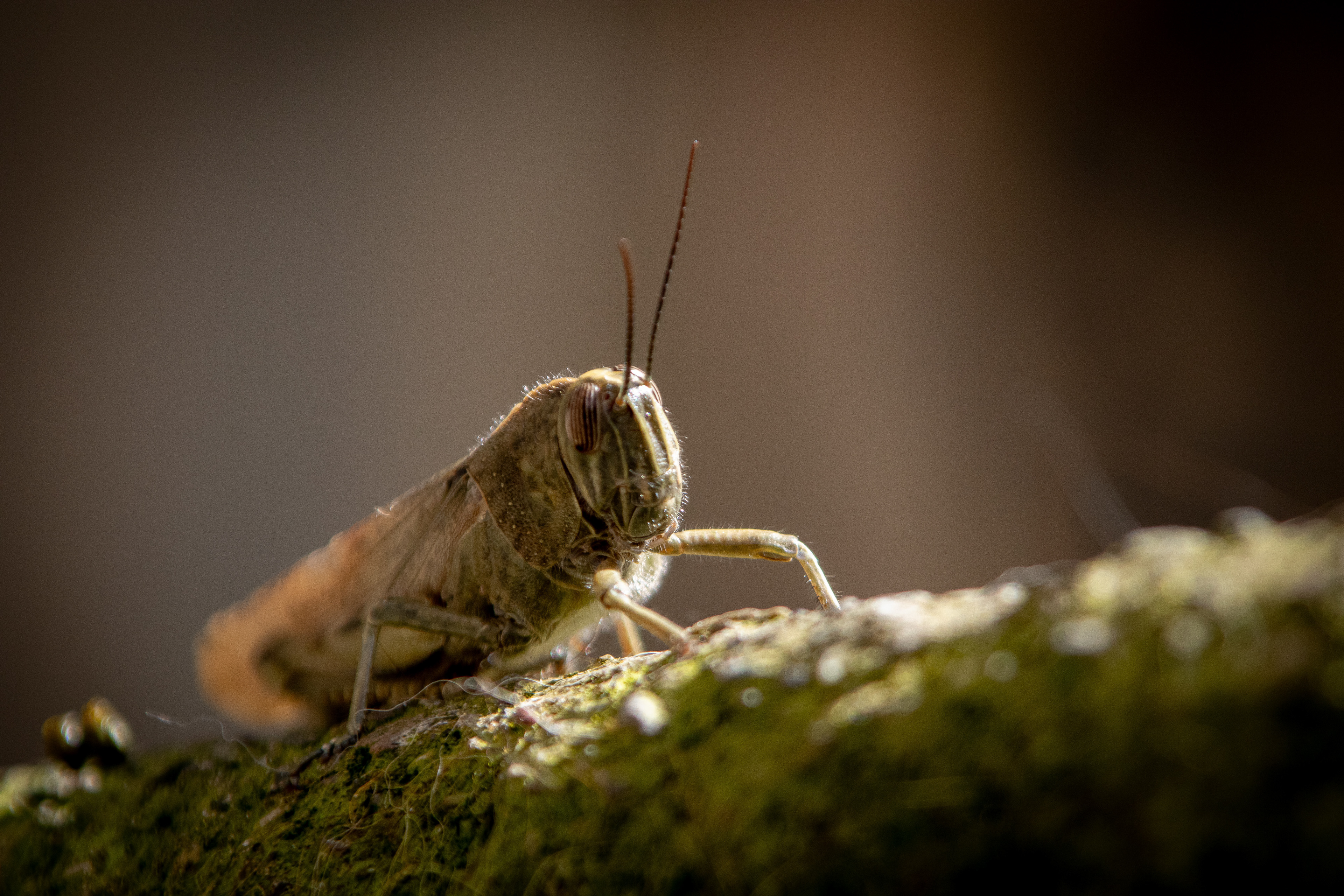 ƒ/6.3 300mm 1/640sec. ISO400