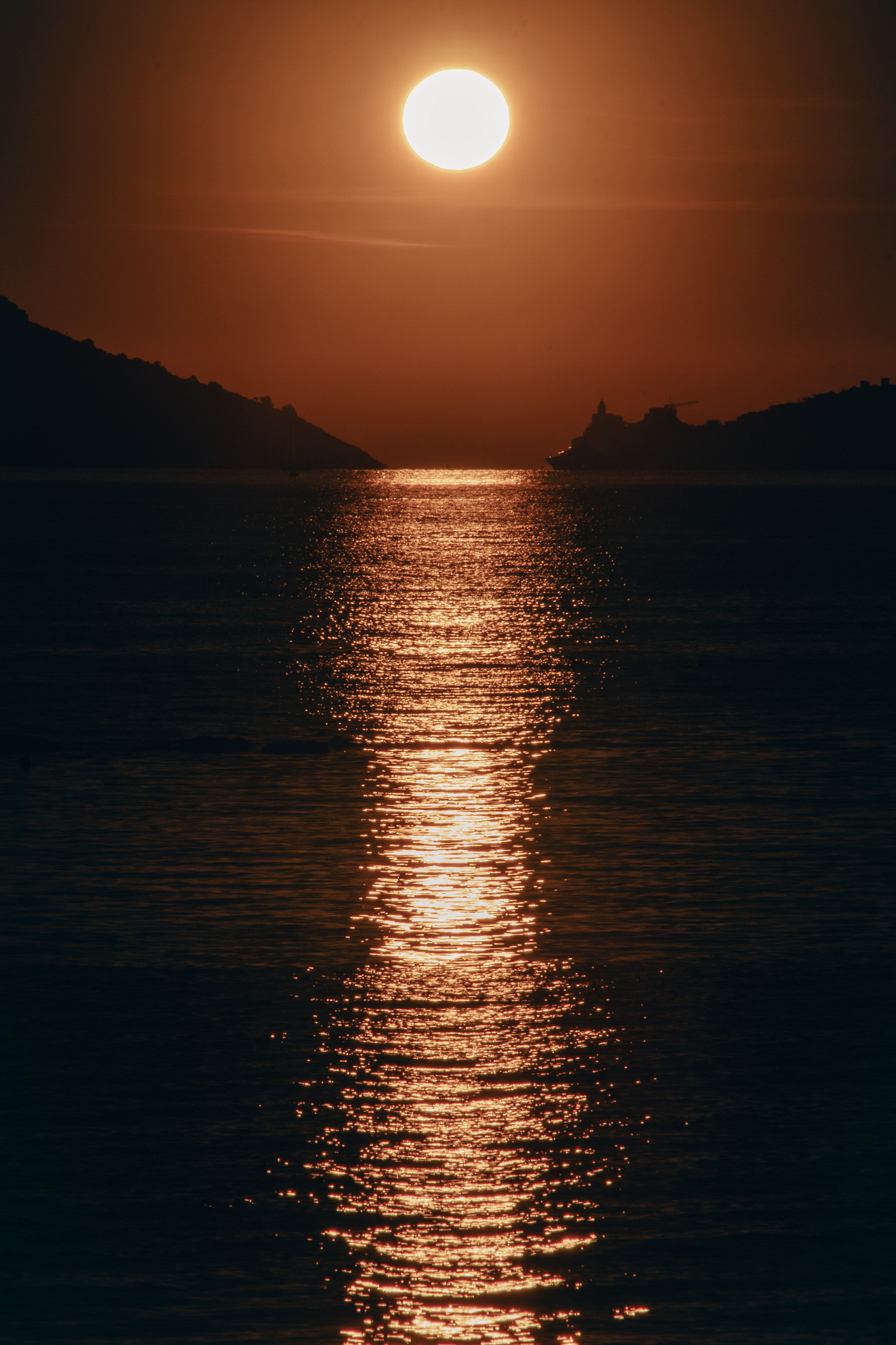 ƒ/25 180mm 1/1600sec. ISO100