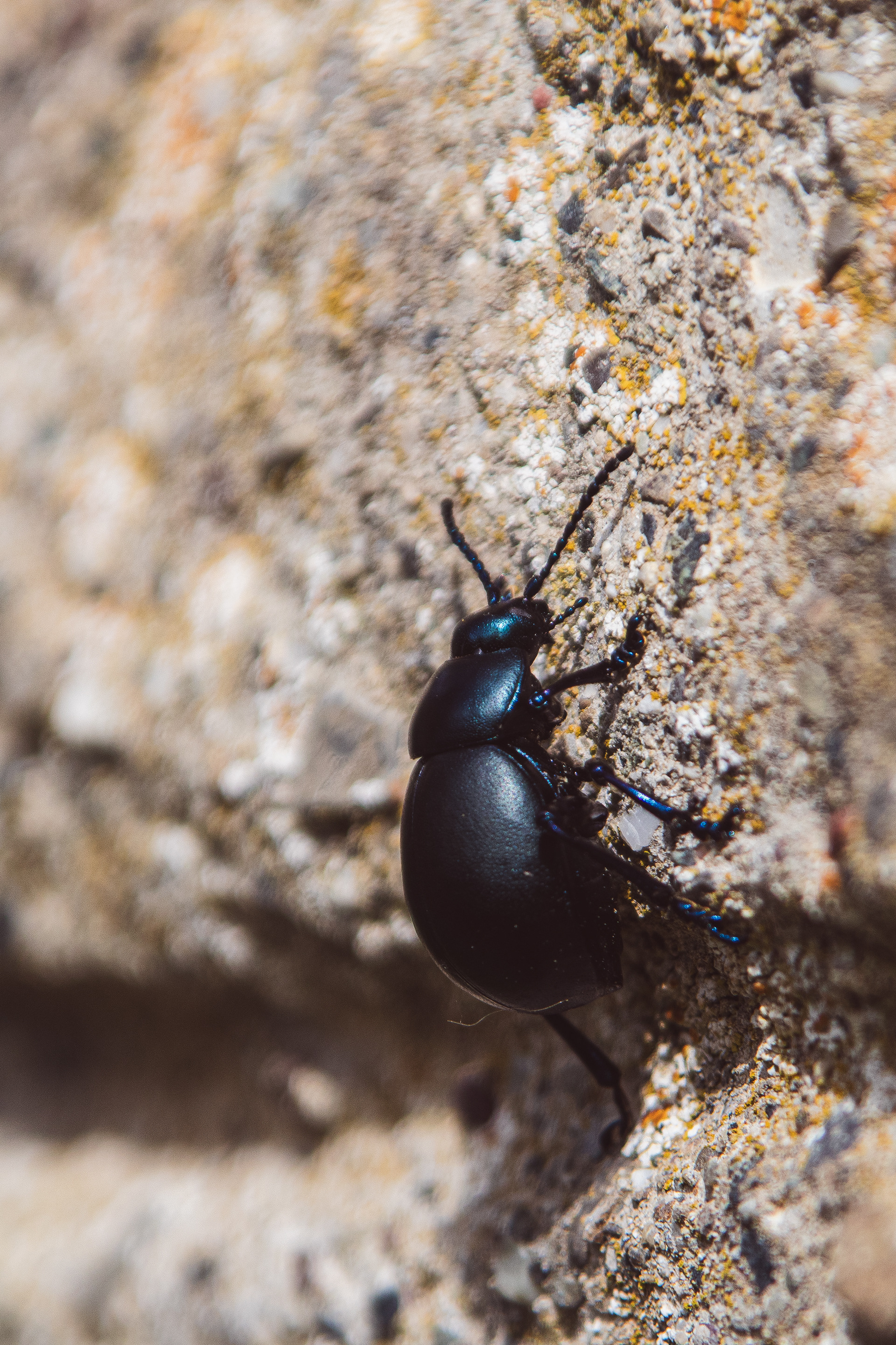 ƒ/6.3 300mm 1/500sec. ISO160