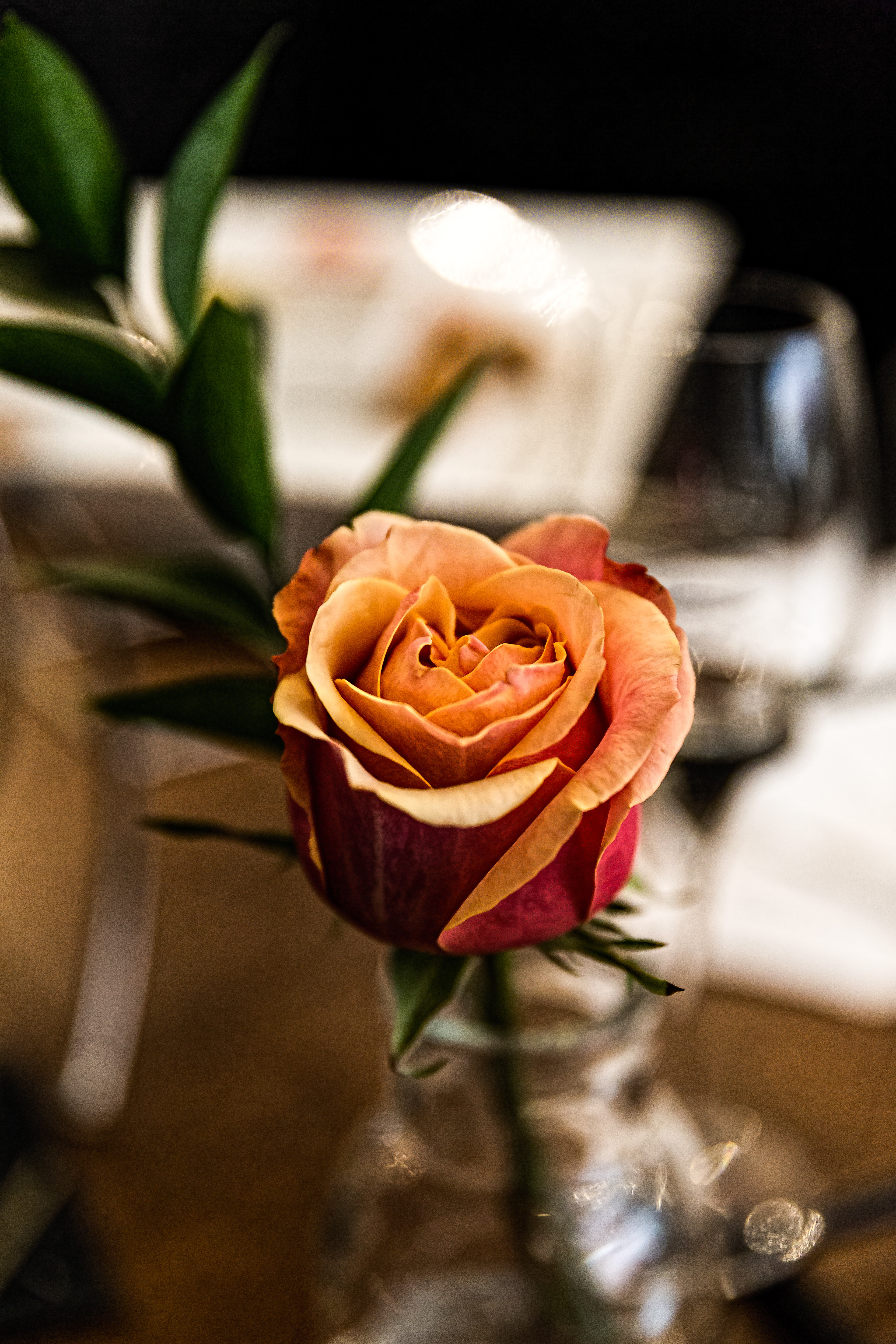 A Rose 01