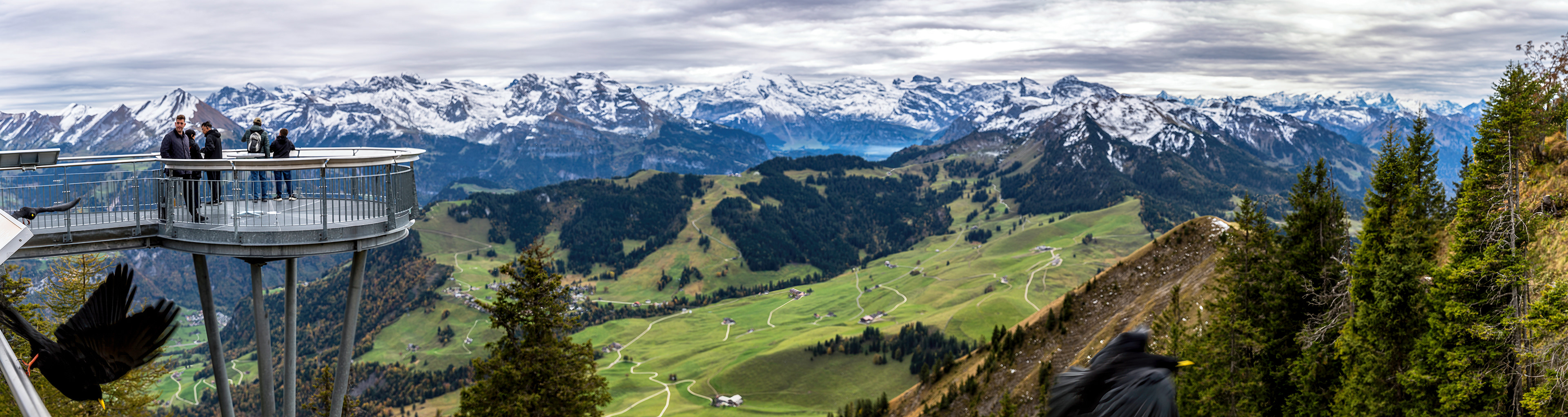 The Alps as seen from  Stanserhorn Mountain