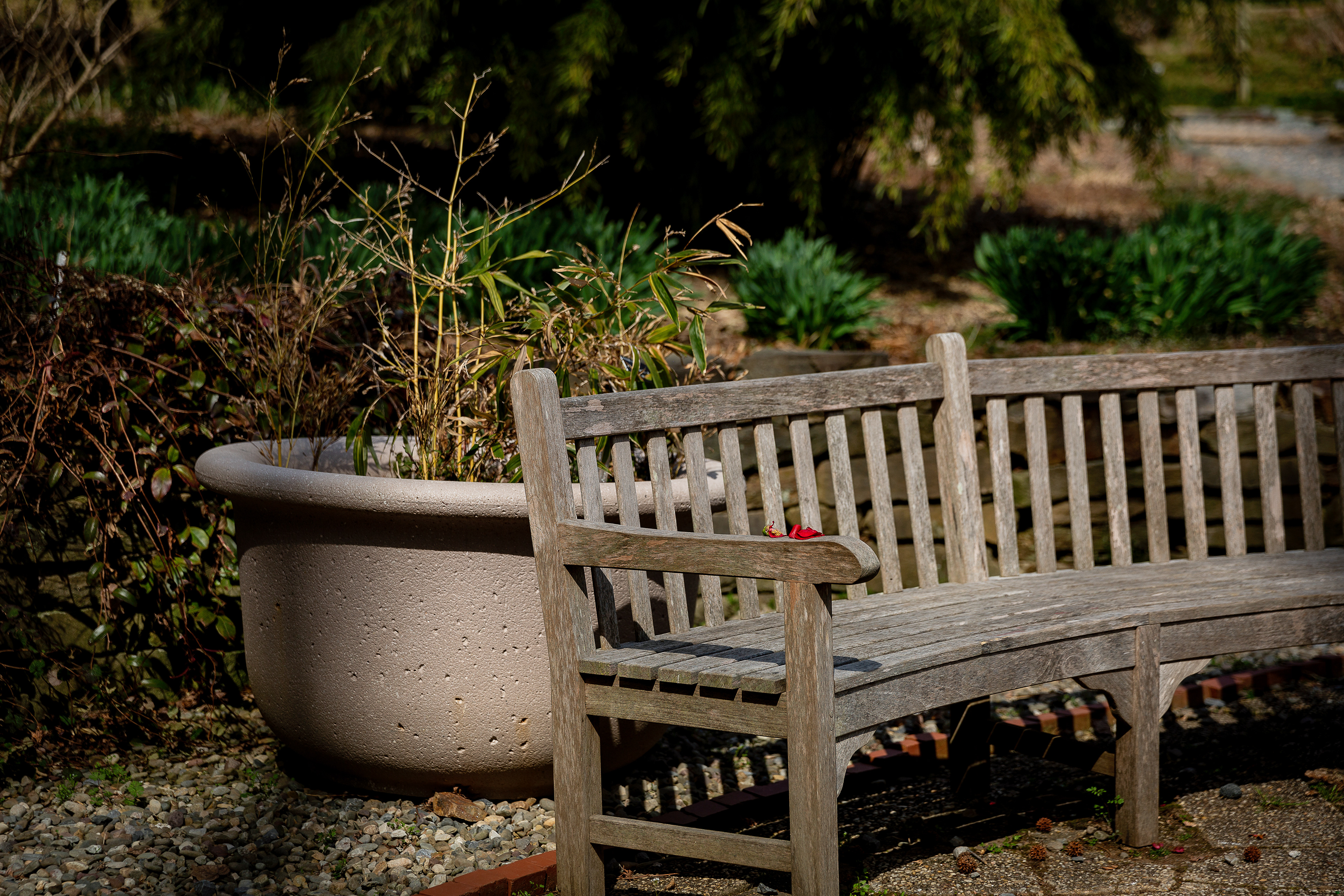 National Arboretum DC