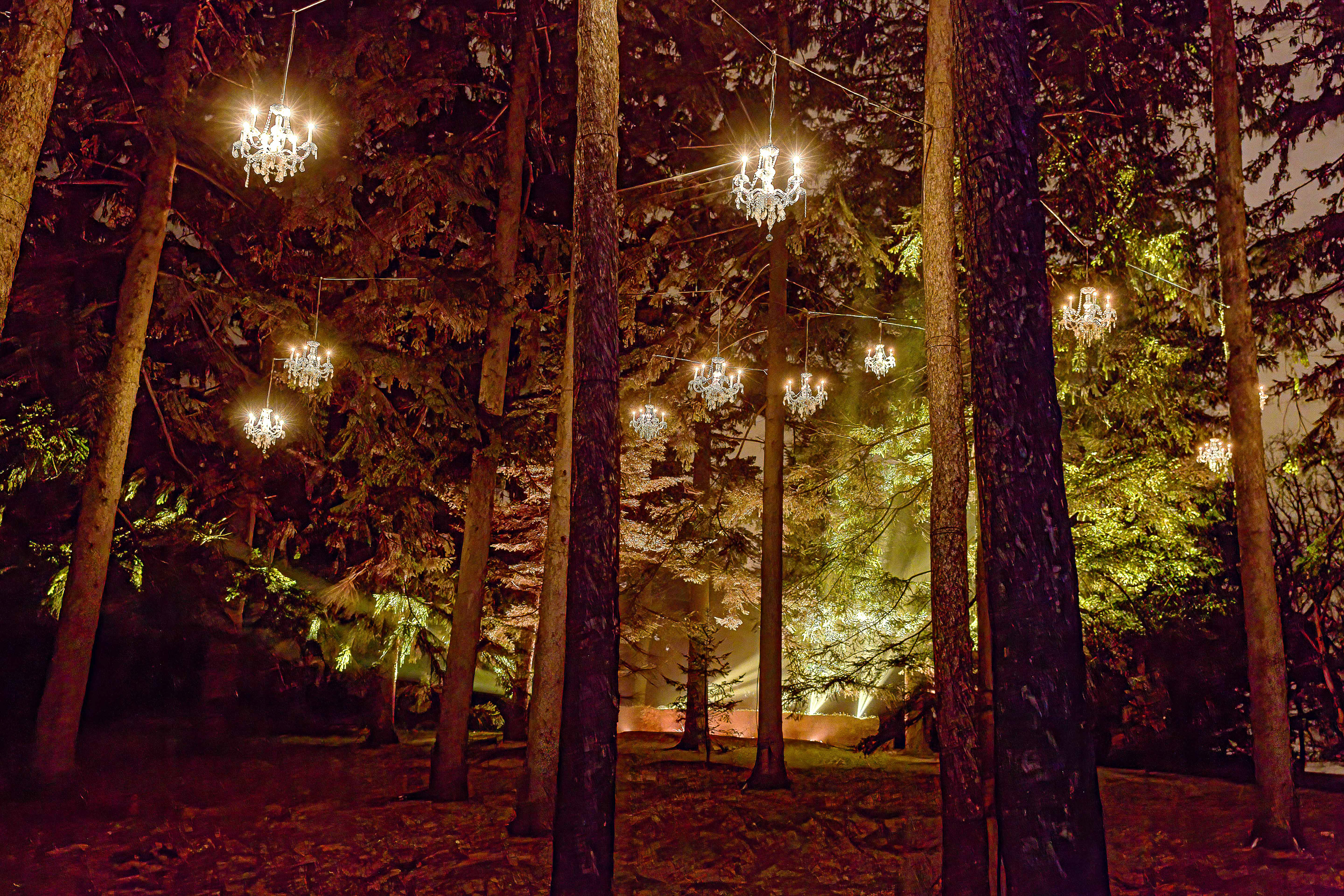 Morton Arboretum Illumination 03