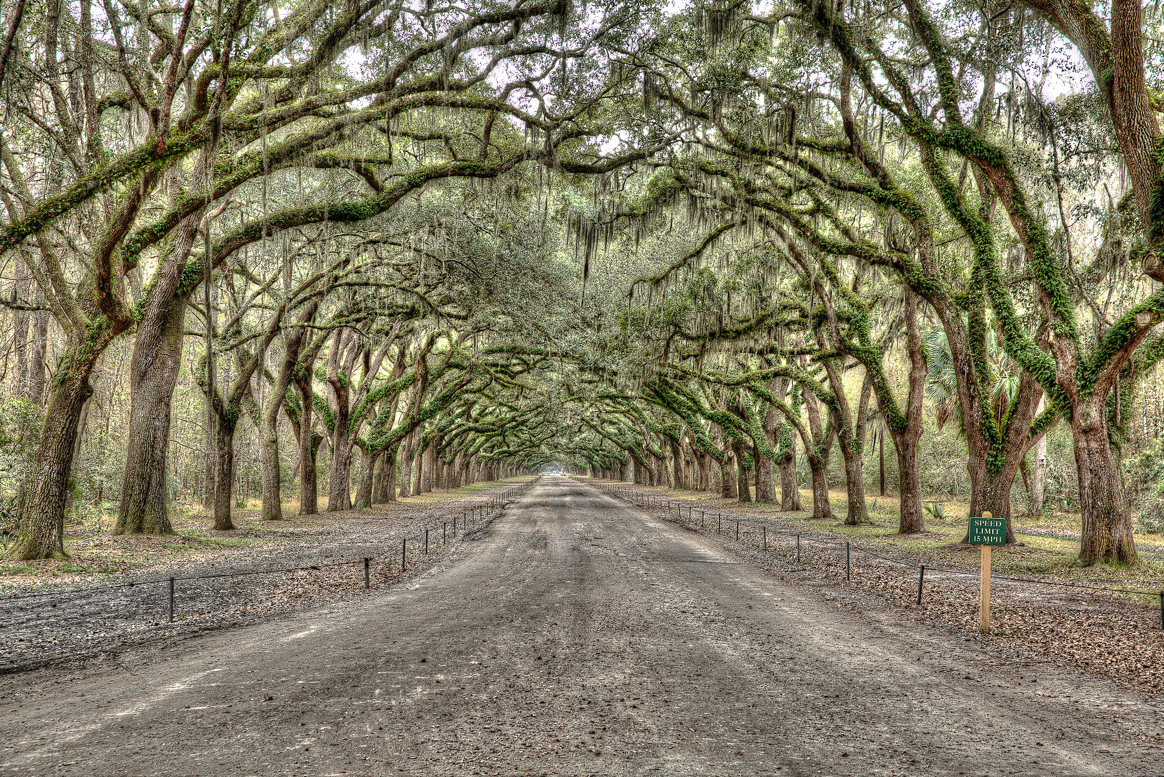 Plantation Entrance in GA