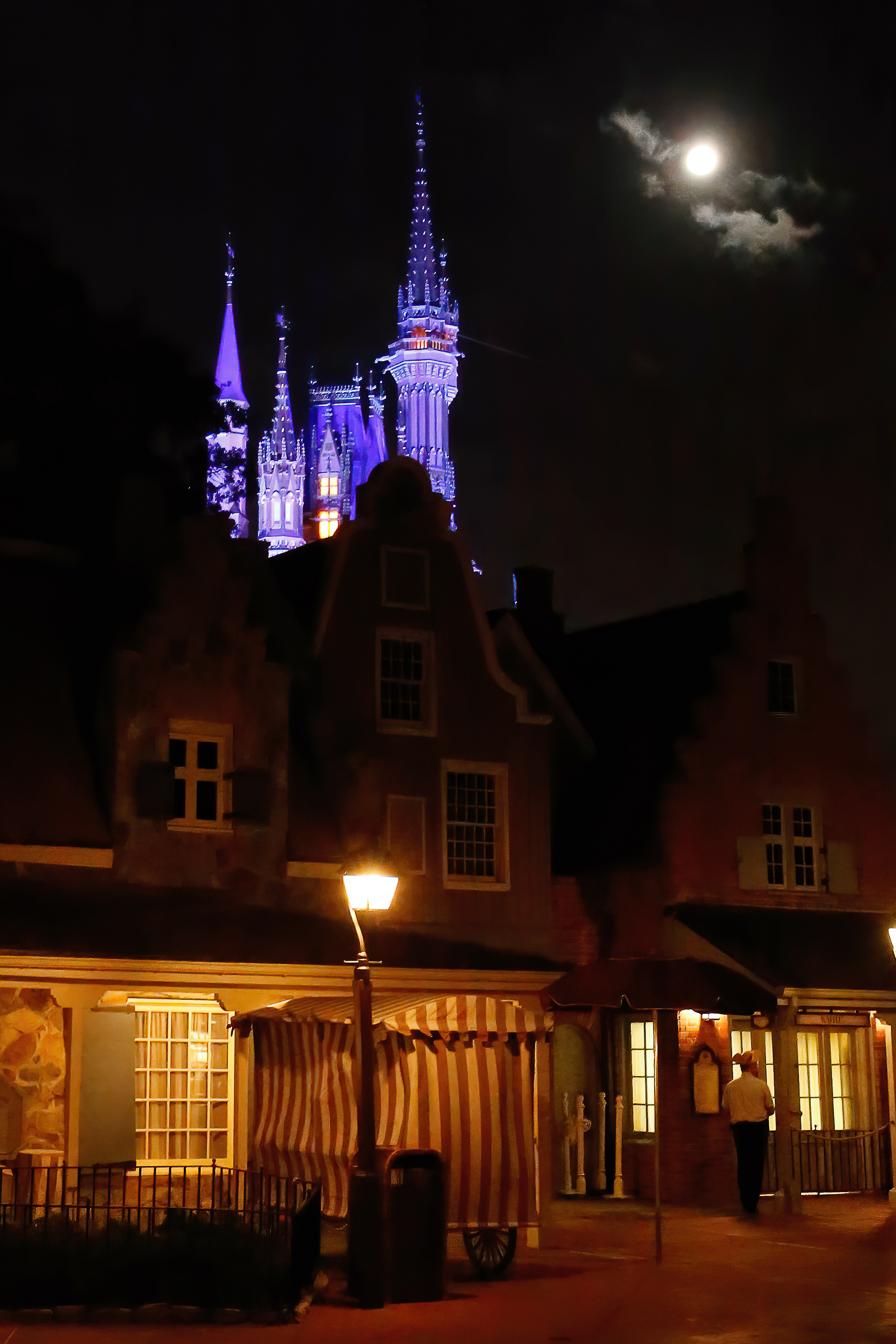 Magic Castle Disney World