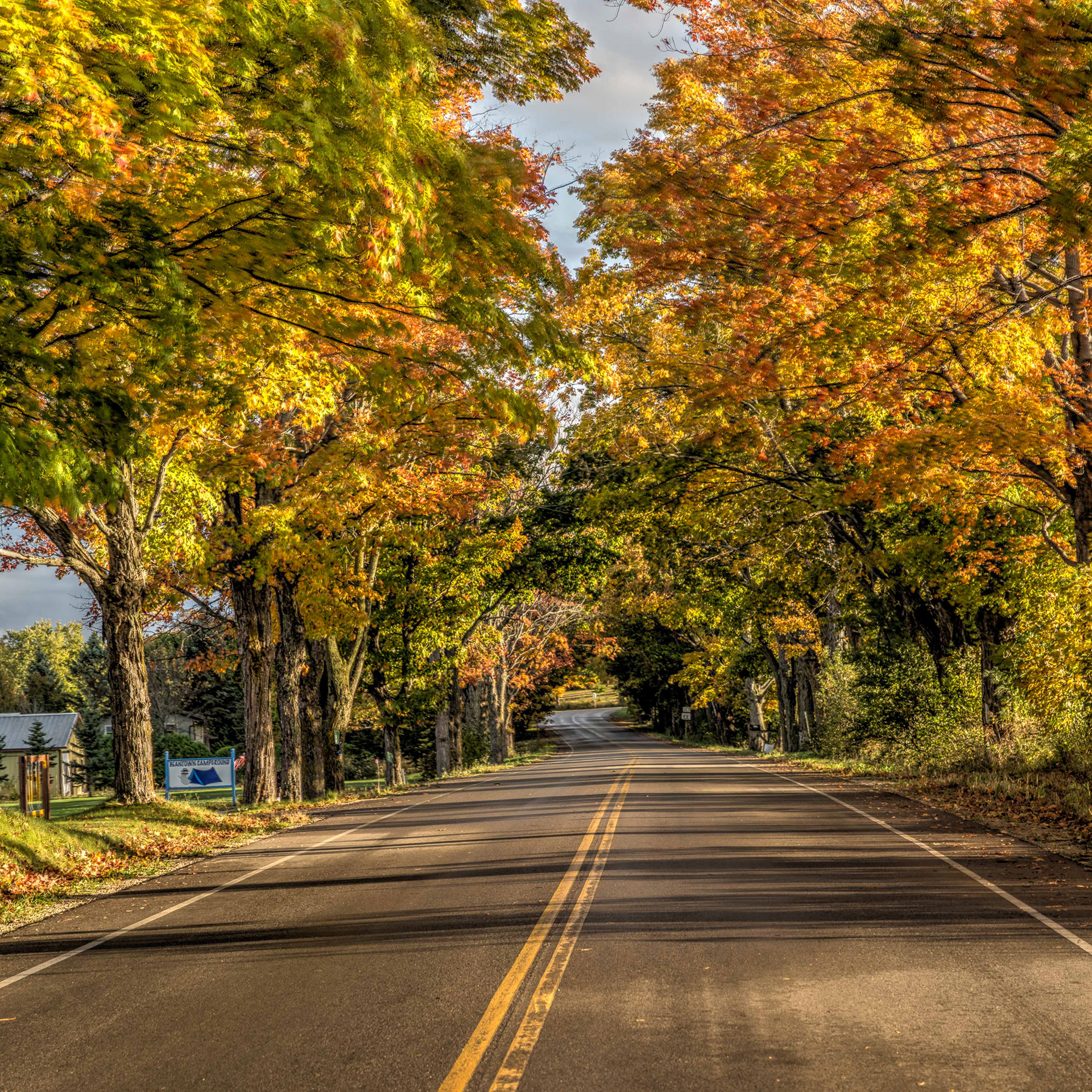 Fall Colors Door County 02