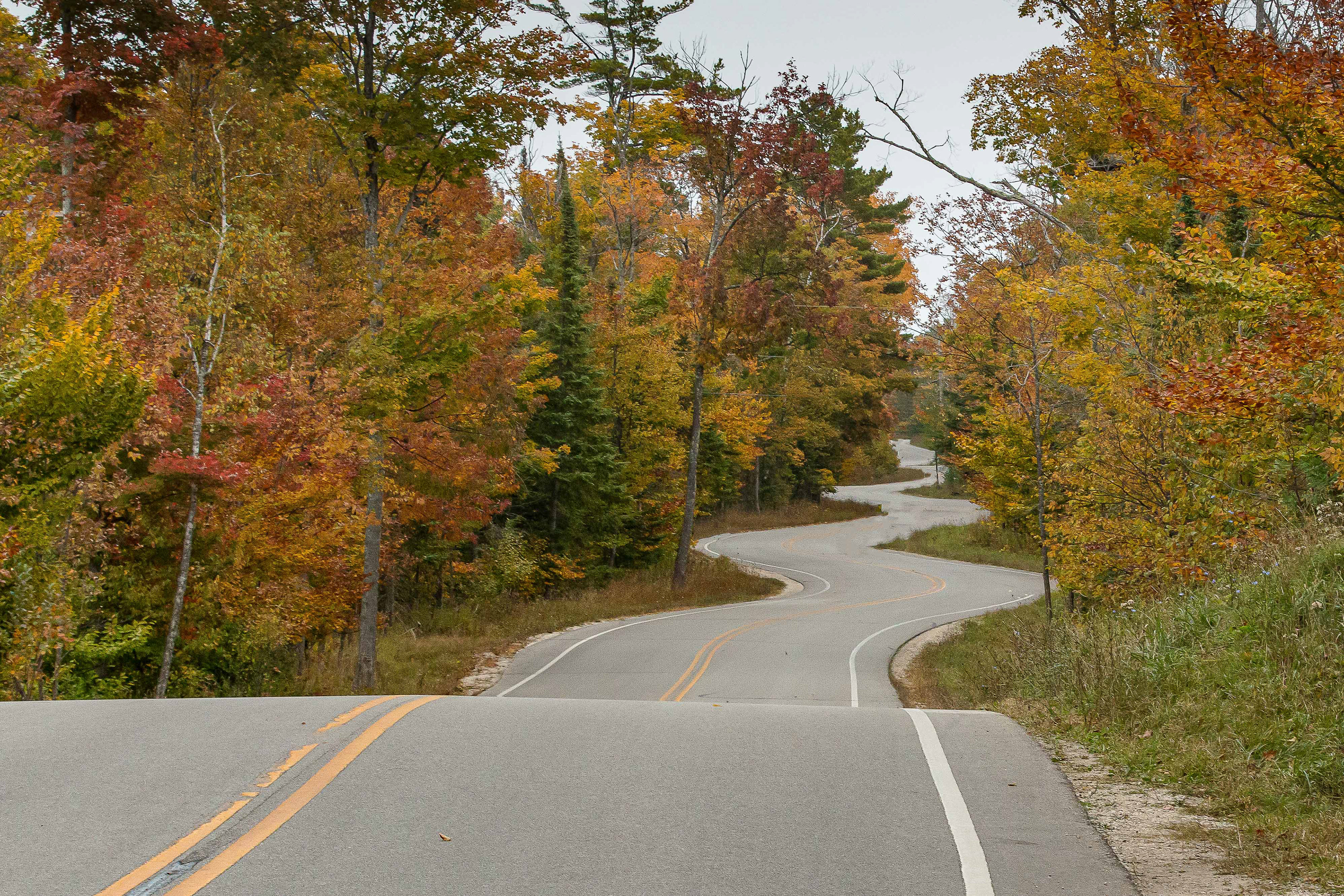 Twisty Road in the Fall
